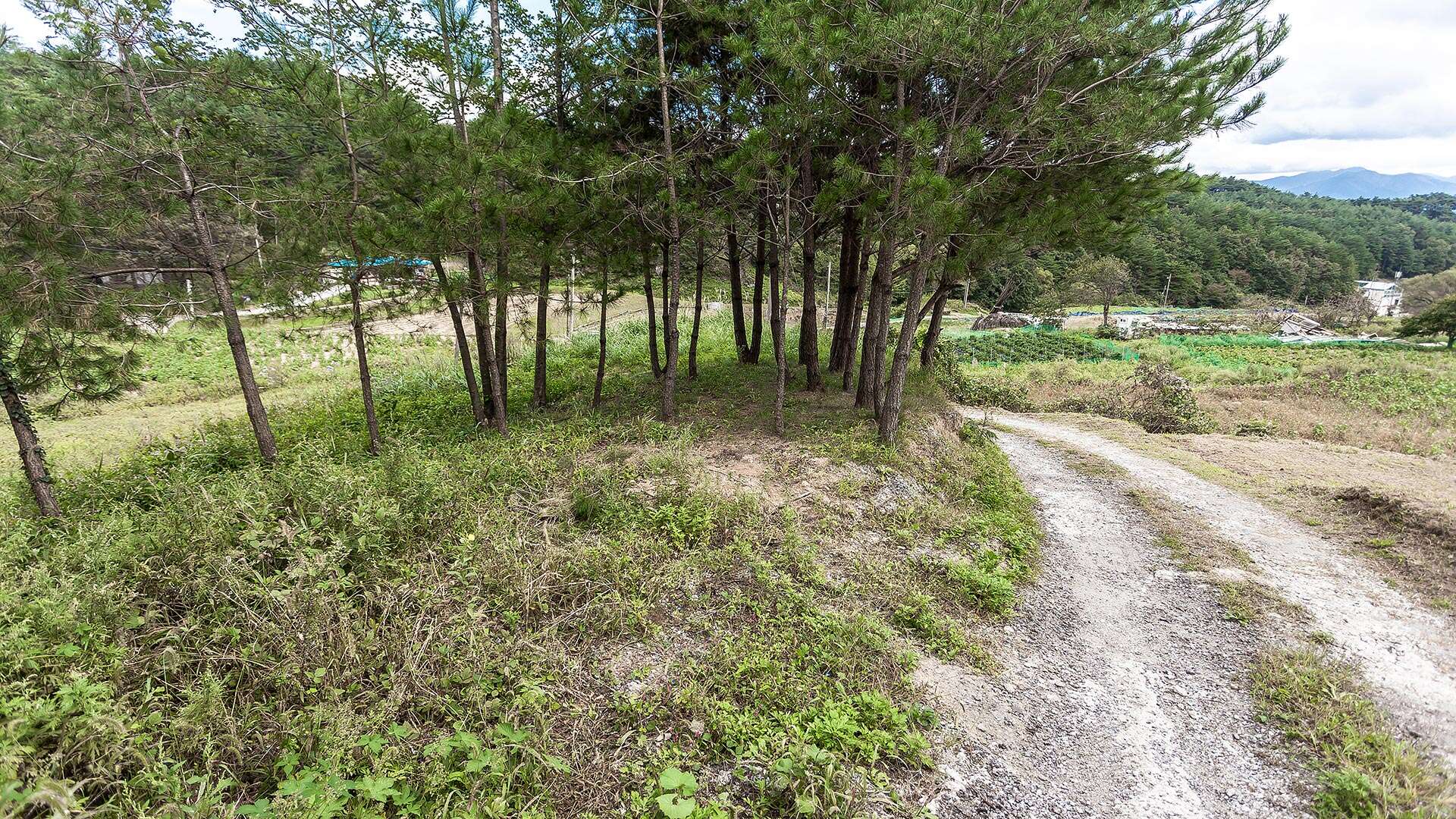普光里粉青沙器窯址 (Bogwang-ri Buncheong Ware Kiln Site)