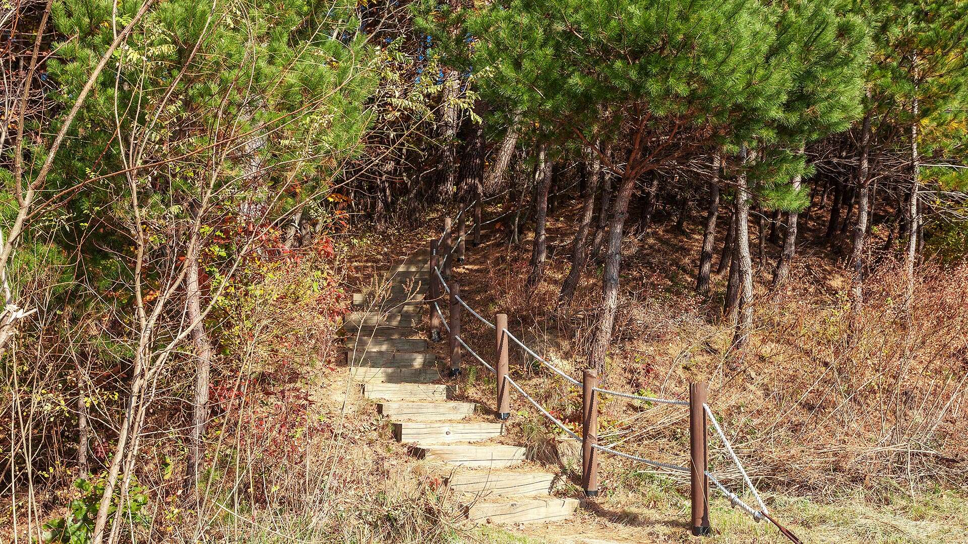 바우길 10코스