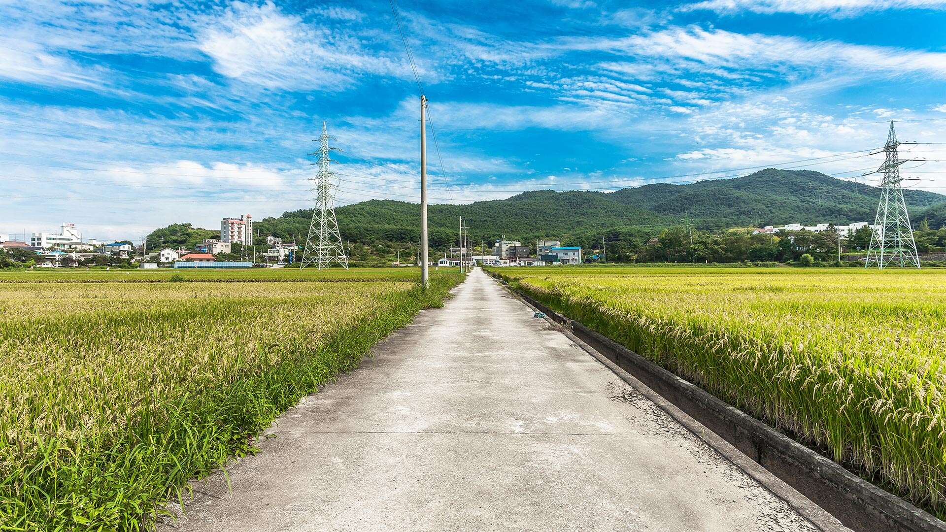 海波朗路第37路線