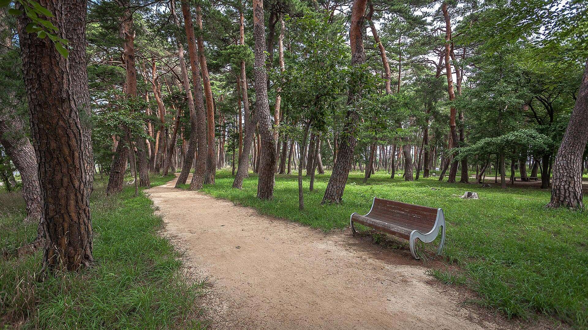 바우길 16코스
