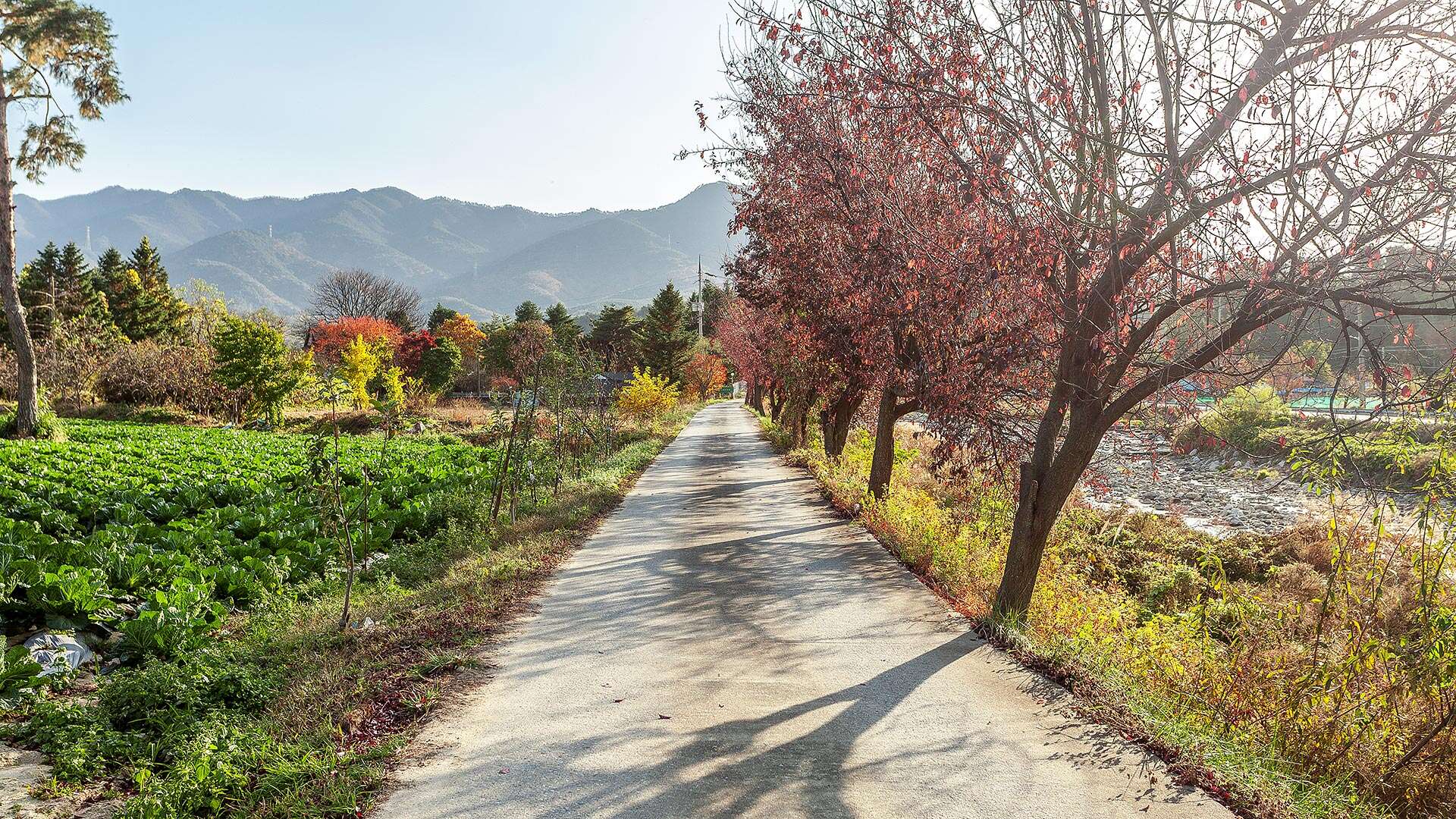 해파랑길 38코스