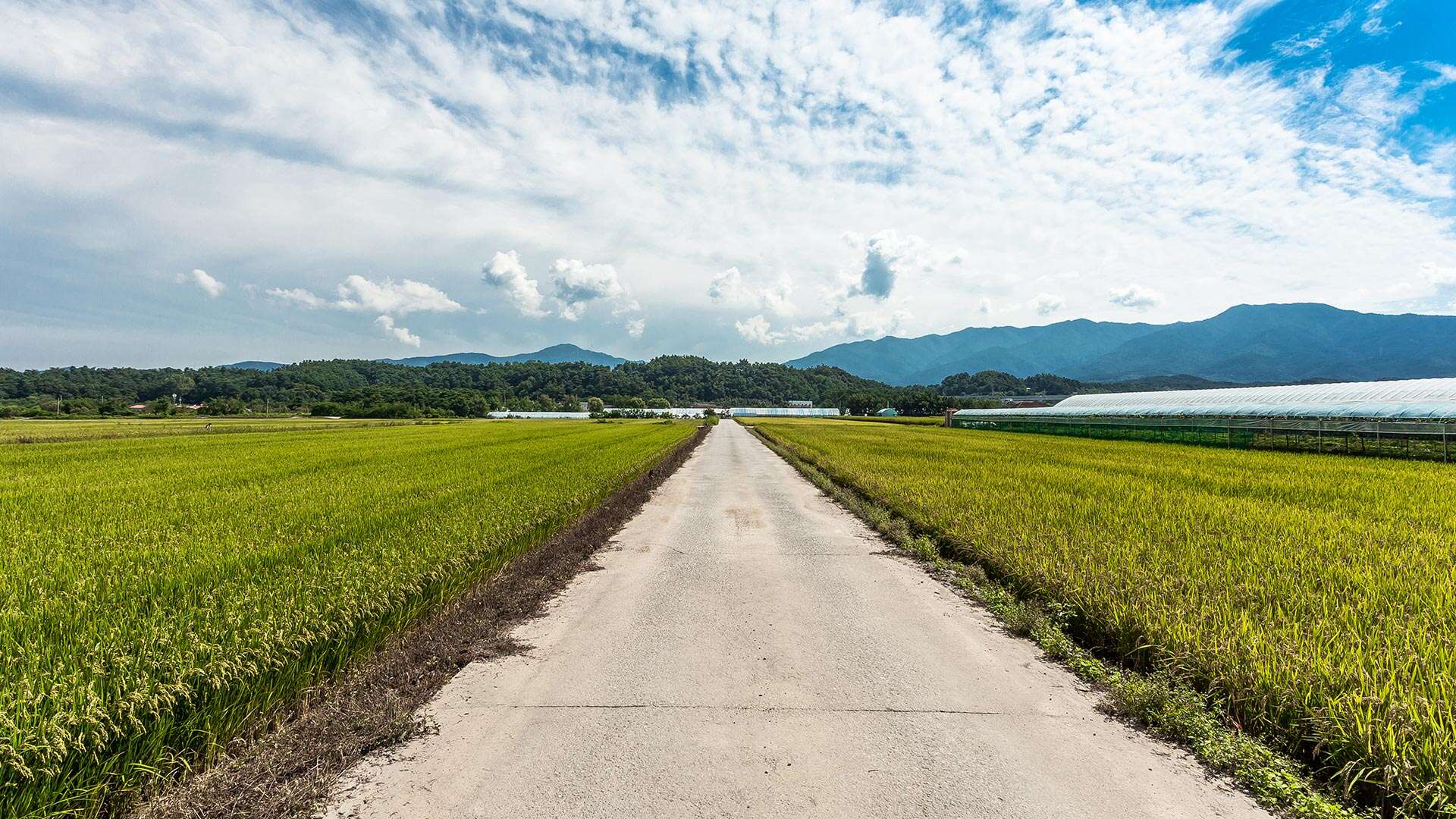 해파랑길 38코스