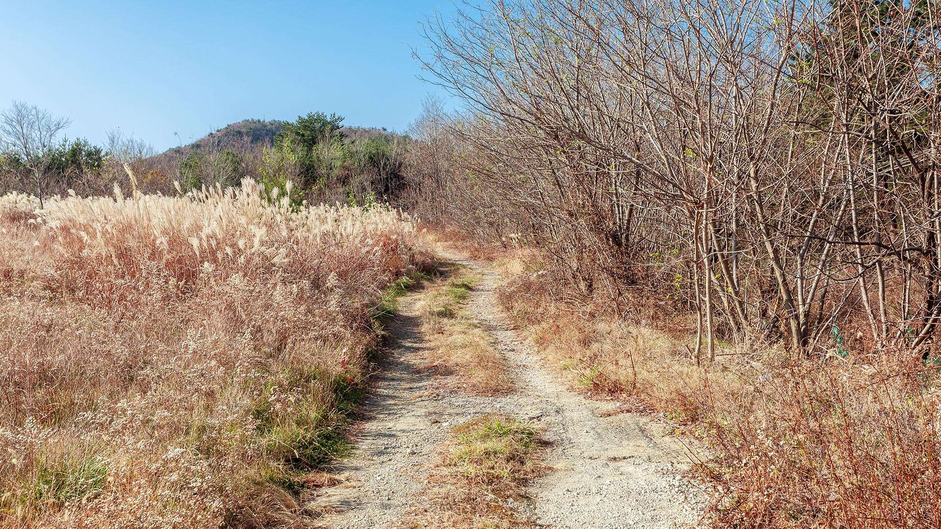 바우길 9코스
