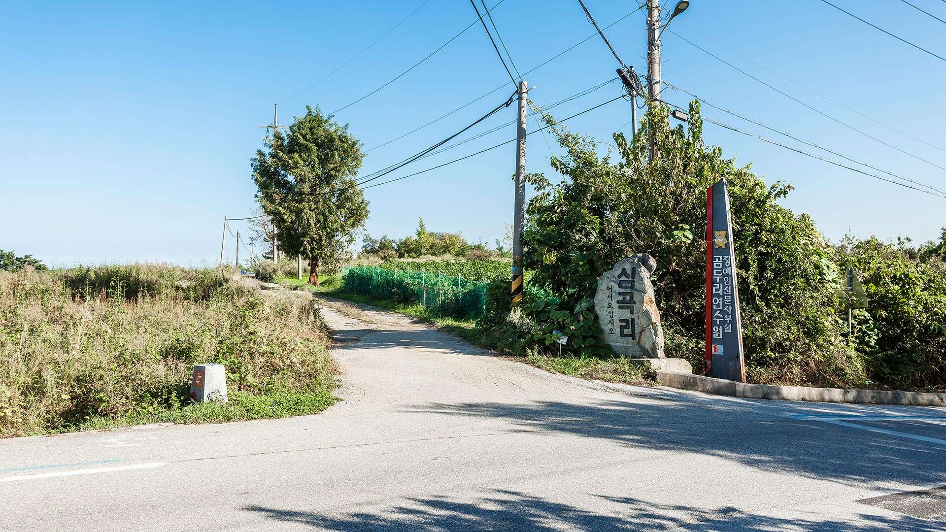 바우길 9코스