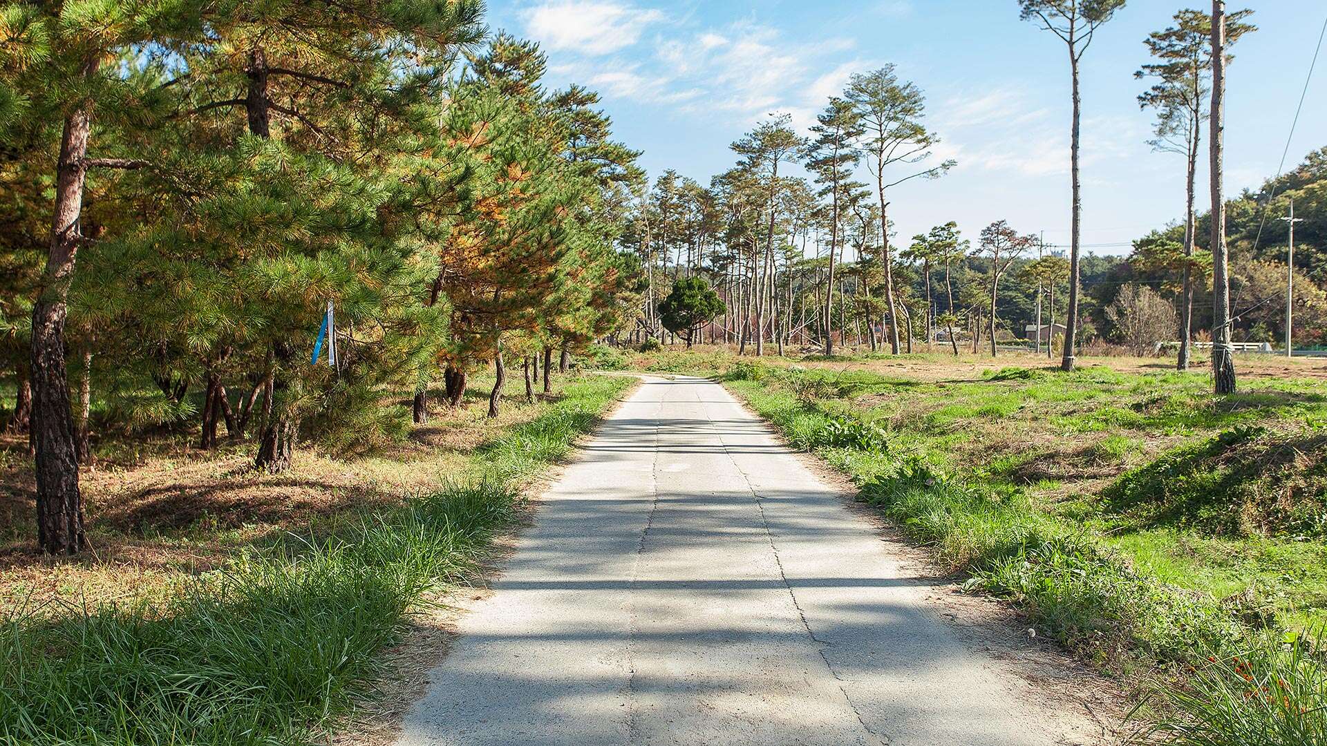 바우길 11코스