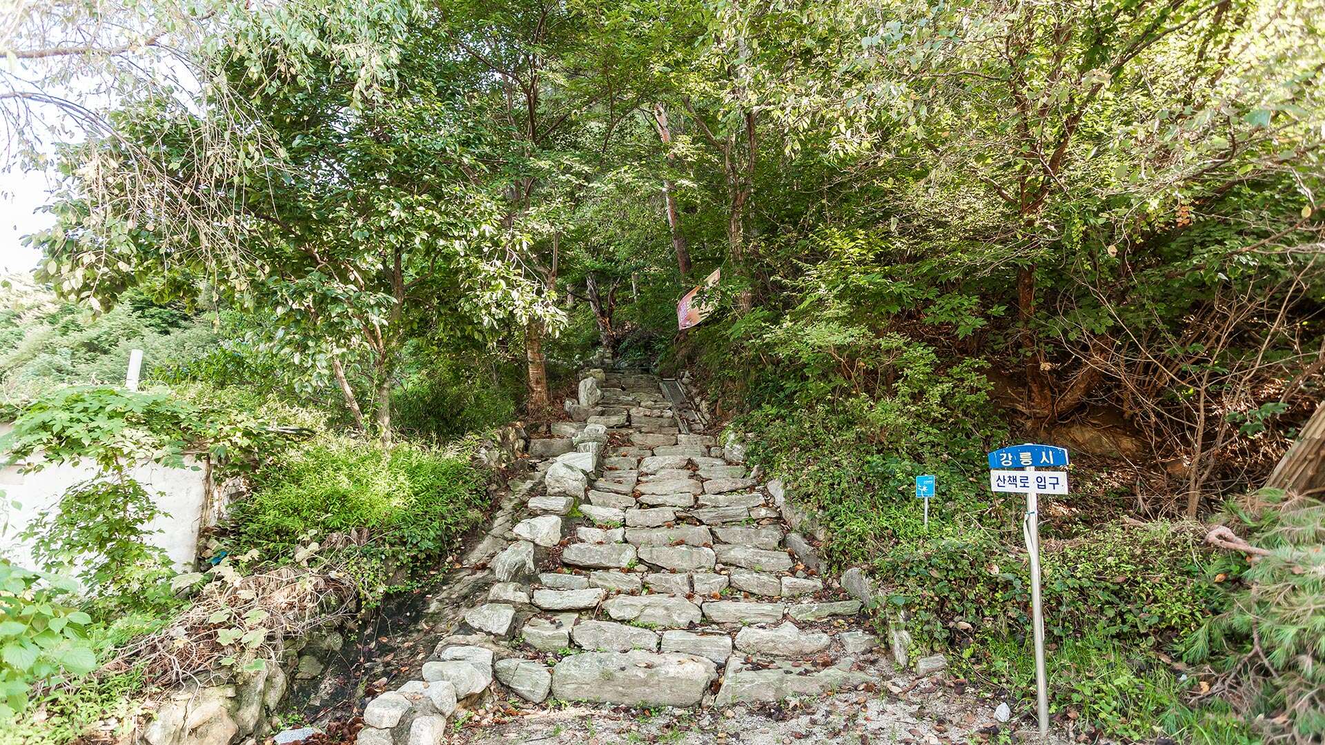 해파랑길 35코스