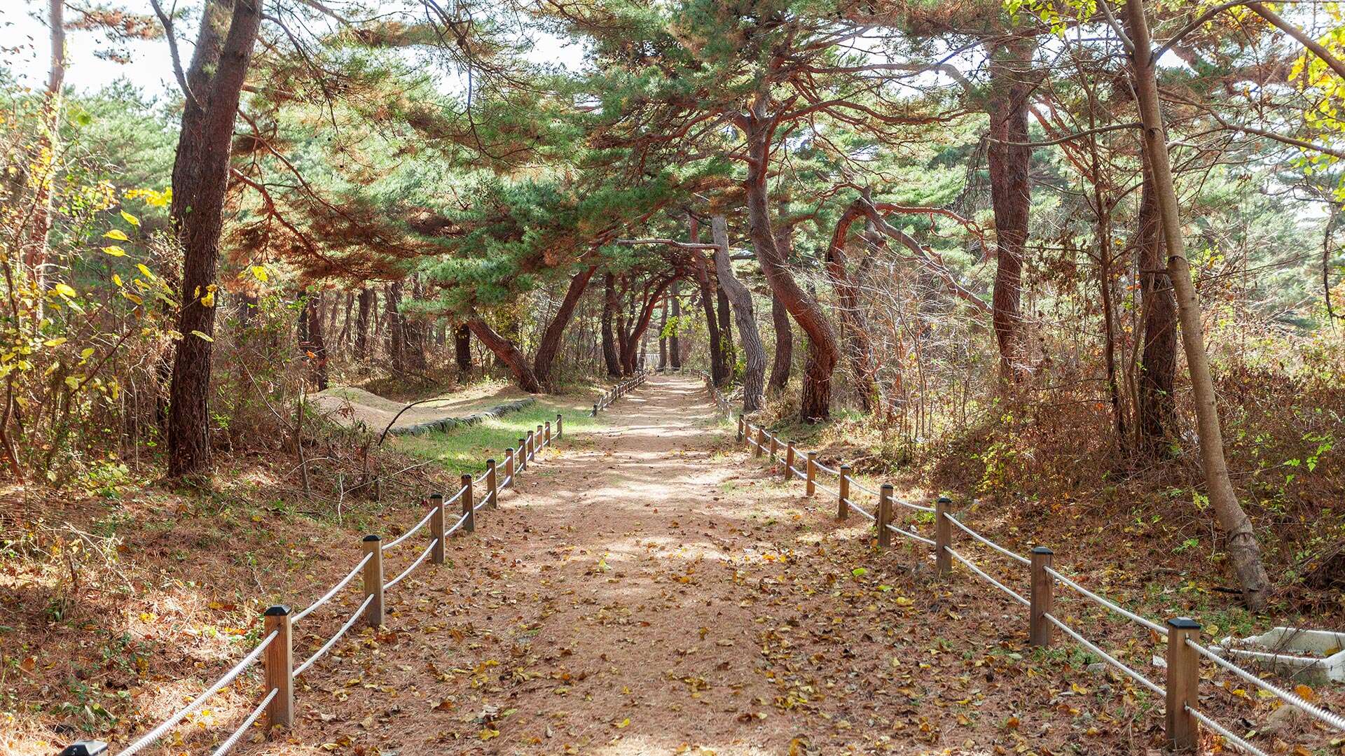 해파랑길 35코스