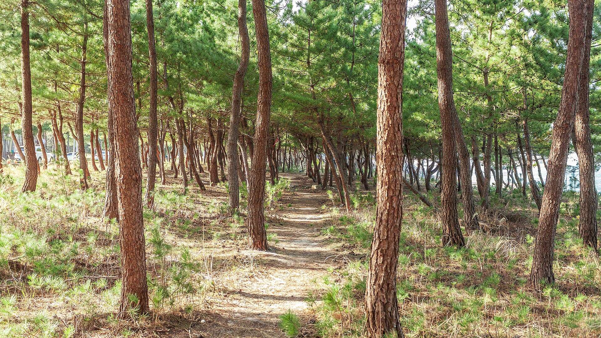 바우길 5코스