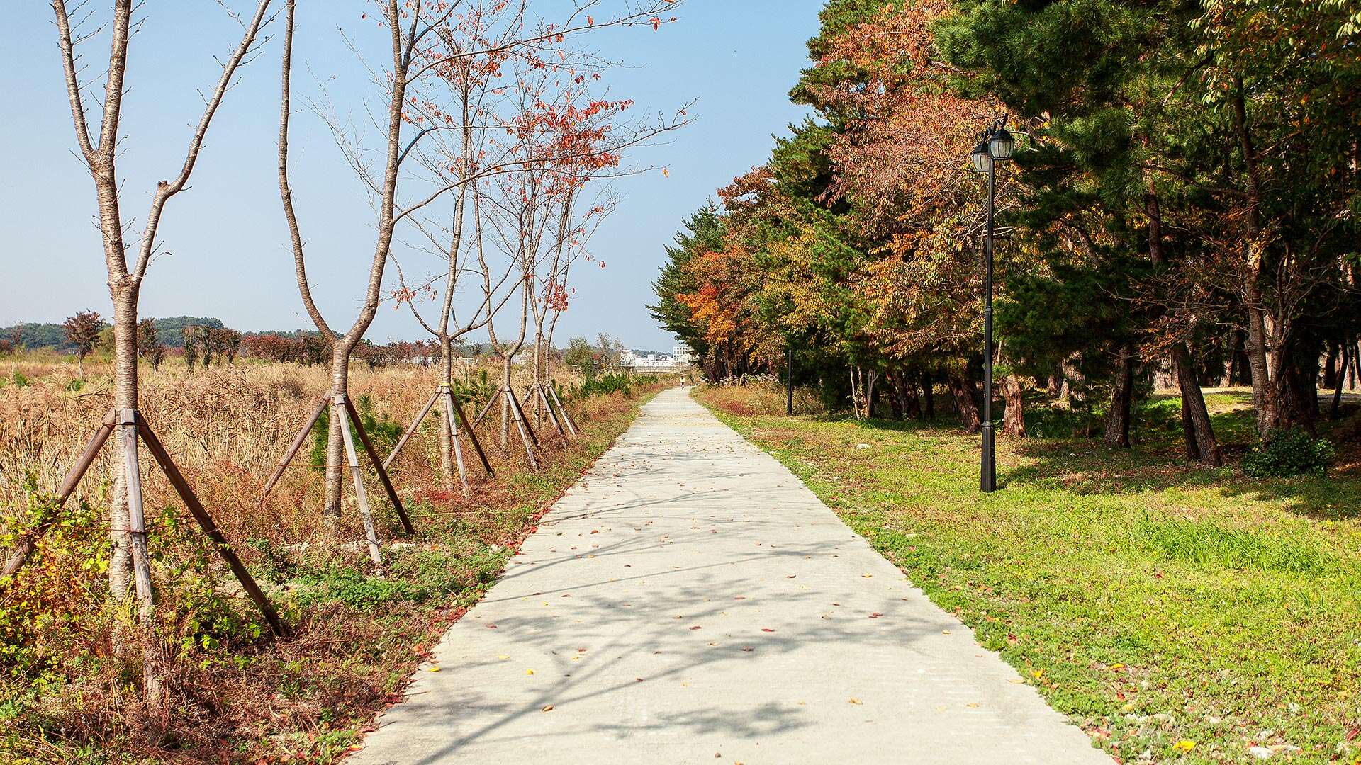 바우길 5코스