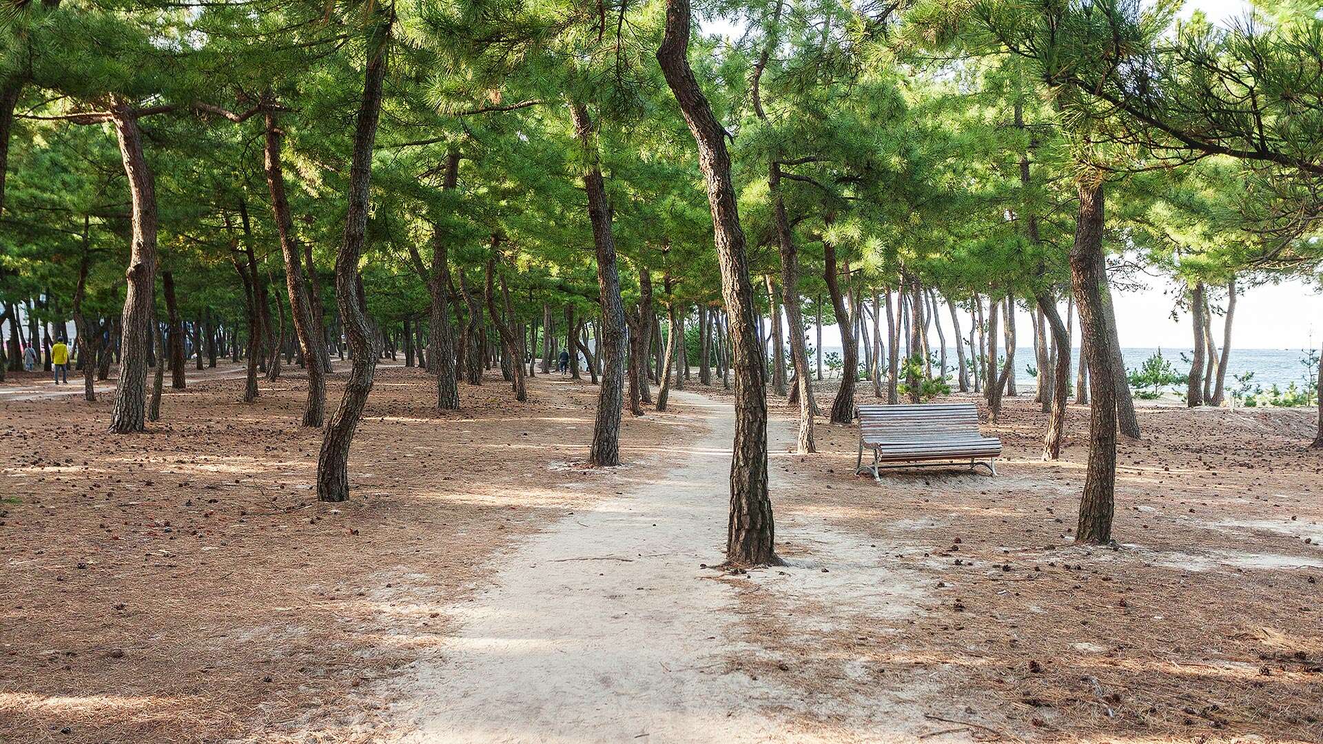 바우길 5코스