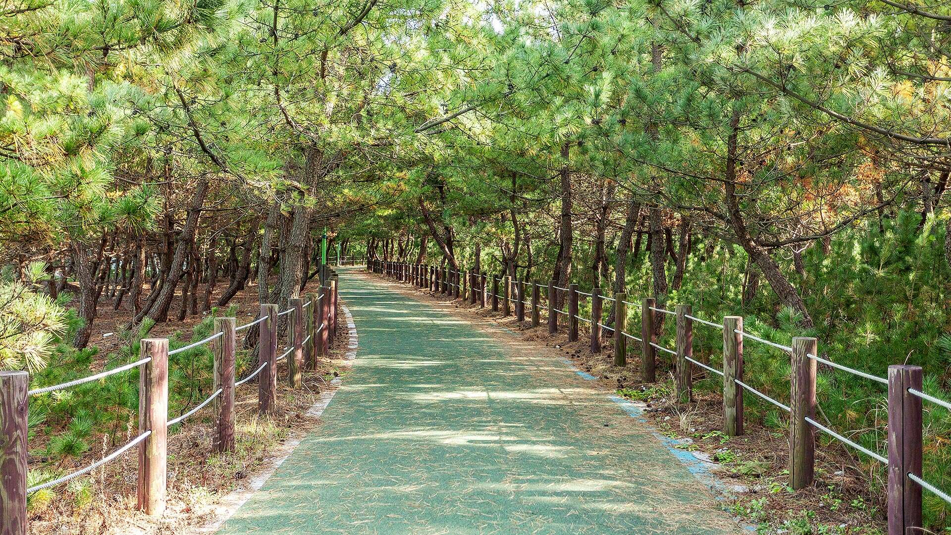 바우길 5코스