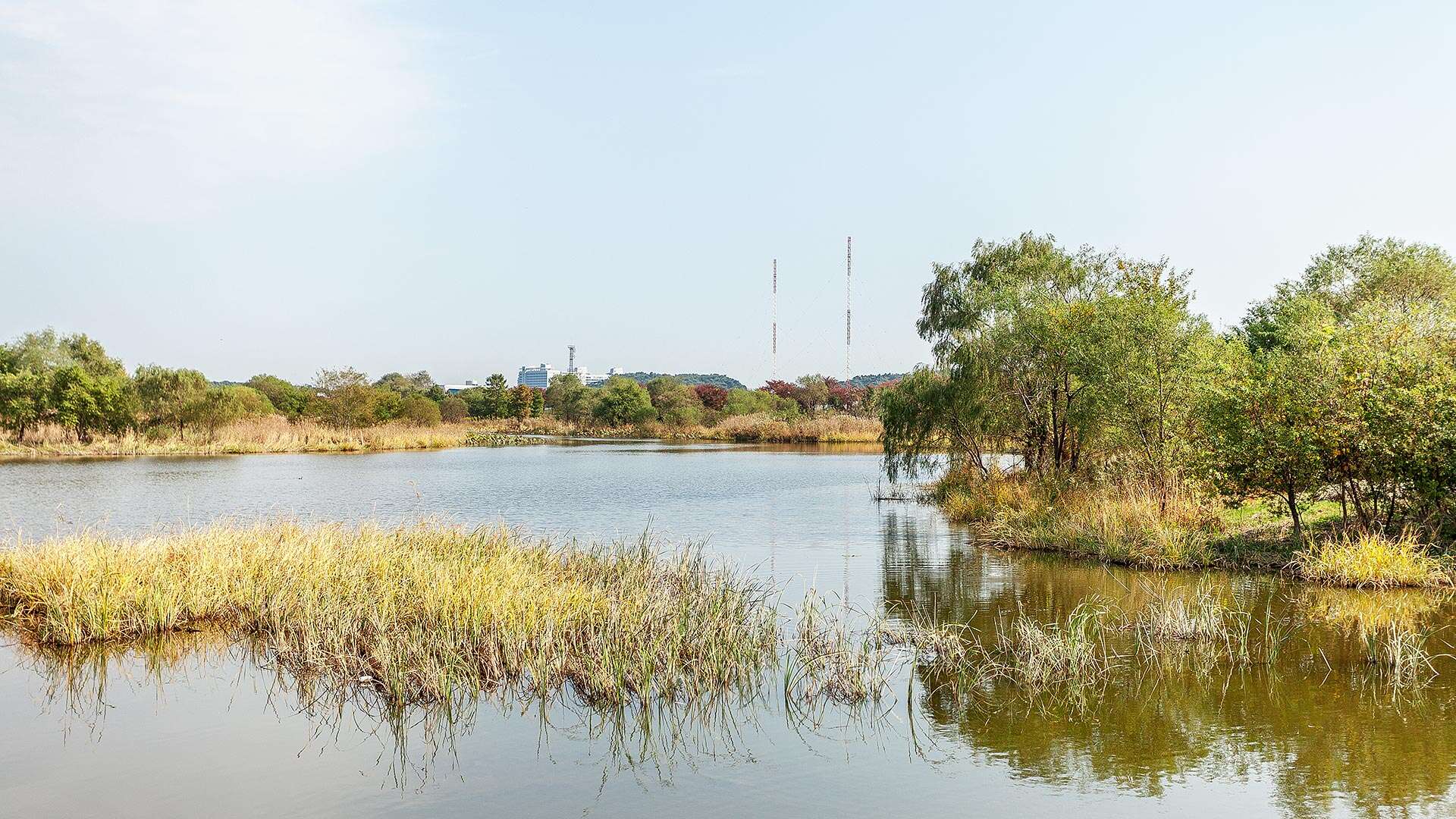 鏡浦生態湿地公園(キョンポホ・センテ・スプチゴンウォン)