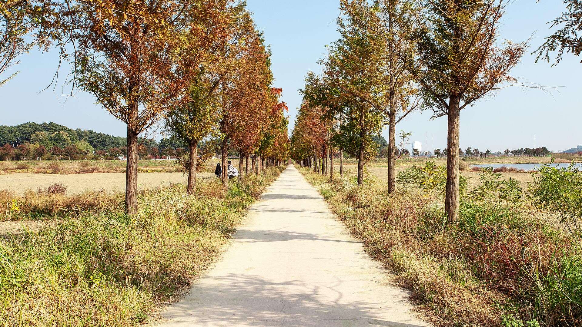 Gyeongpo Ecological Retention Basin