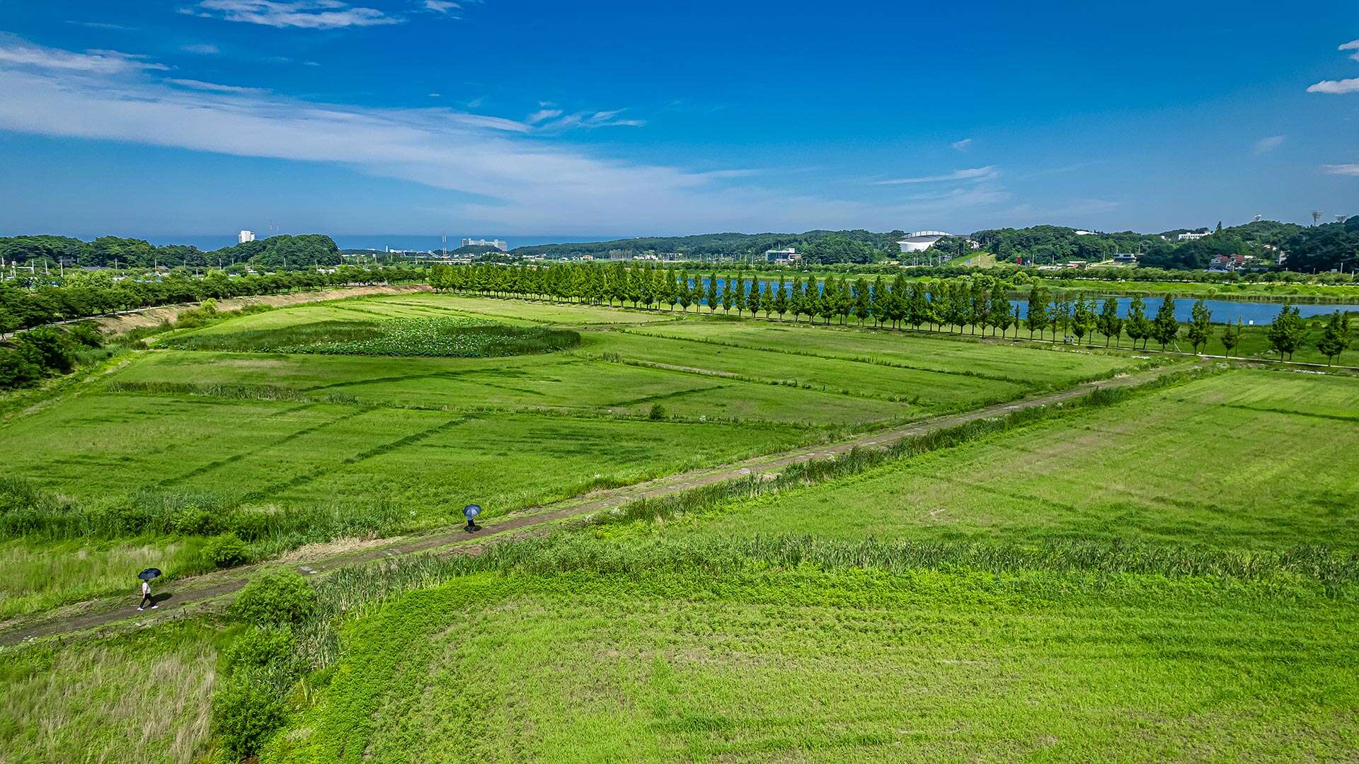 Gyeongpo Ecological Retention Basin