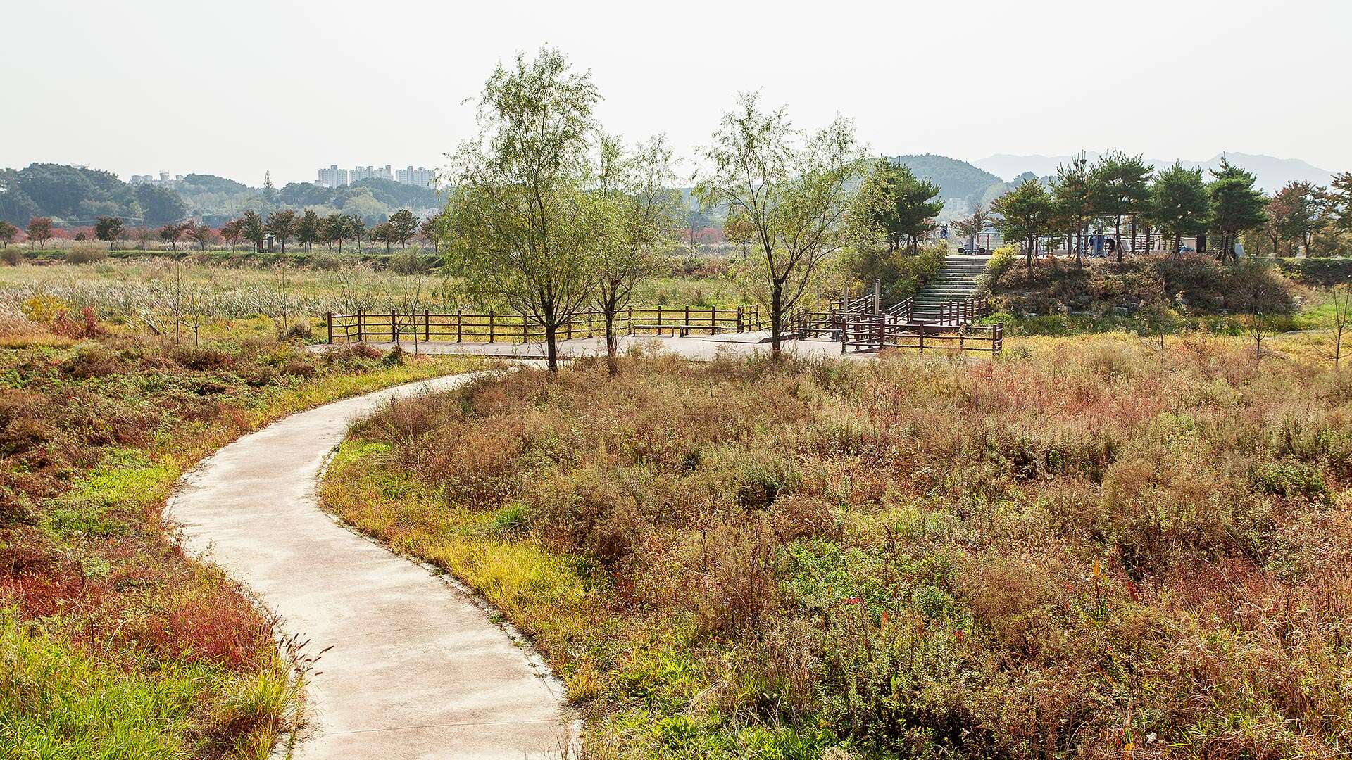 Gyeongpo Ecological Retention Basin