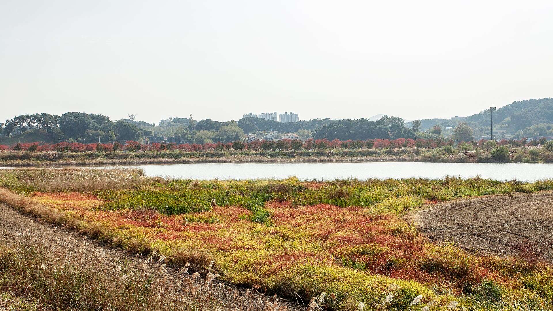 Gyeongpo Ecological Retention Basin