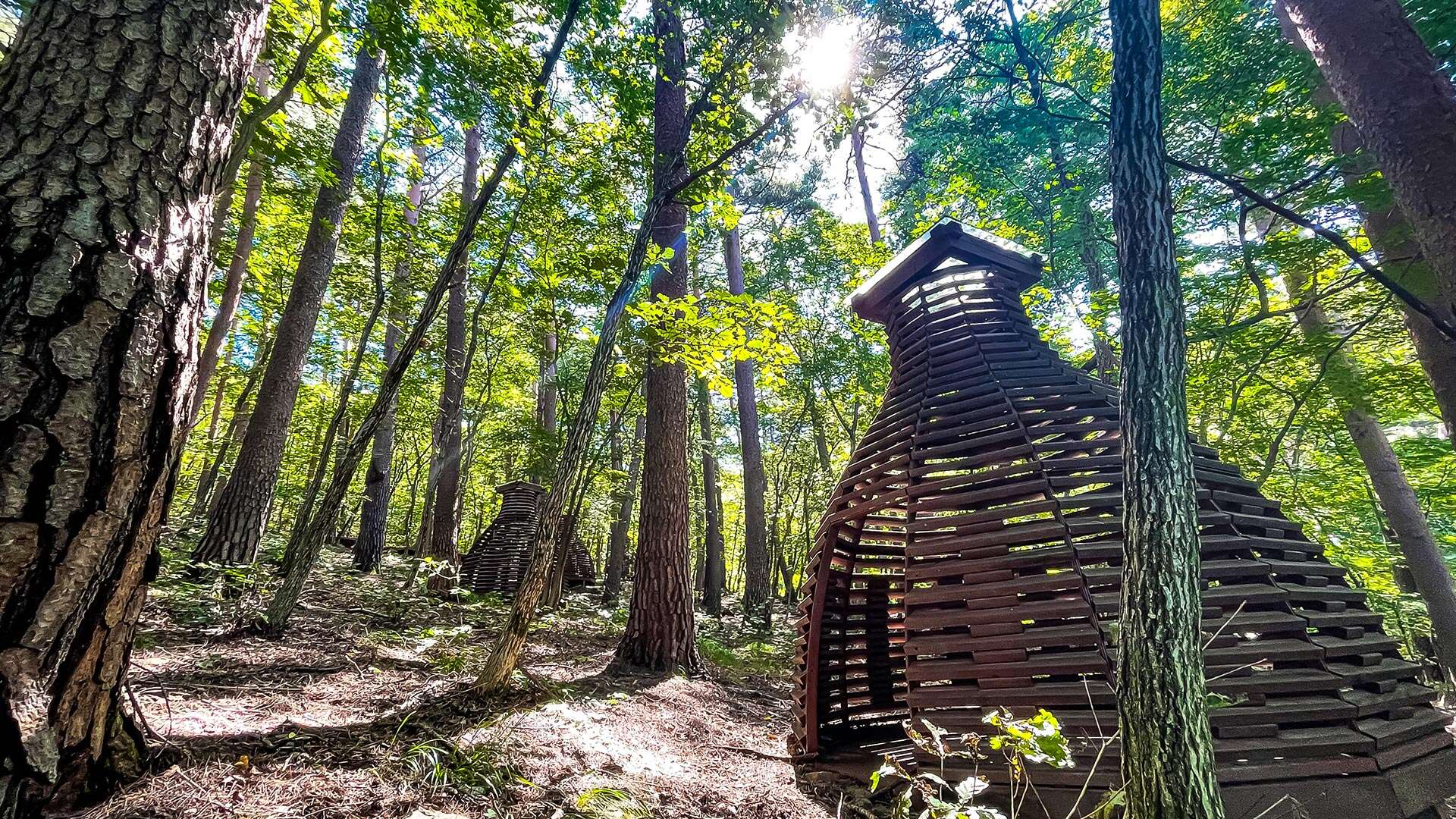 National Daegwallyeong Healing Forest