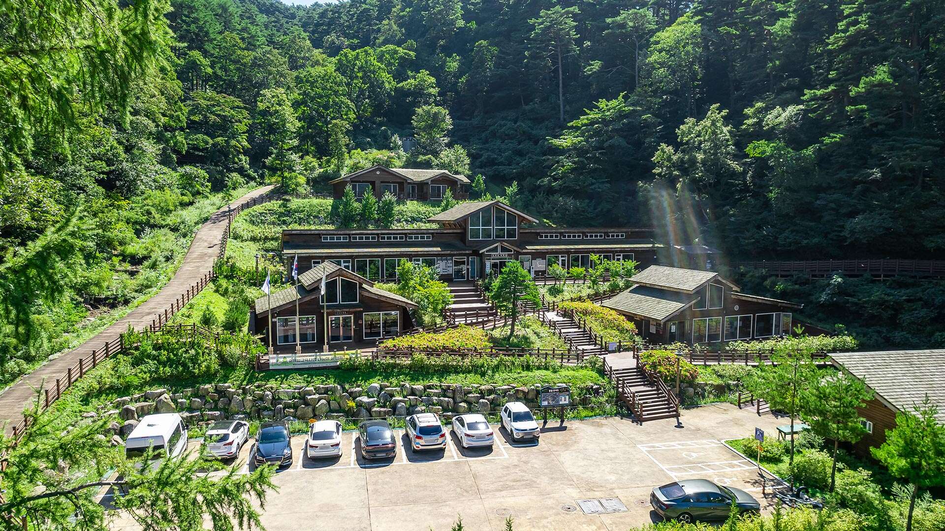 National Daegwallyeong Healing Forest
