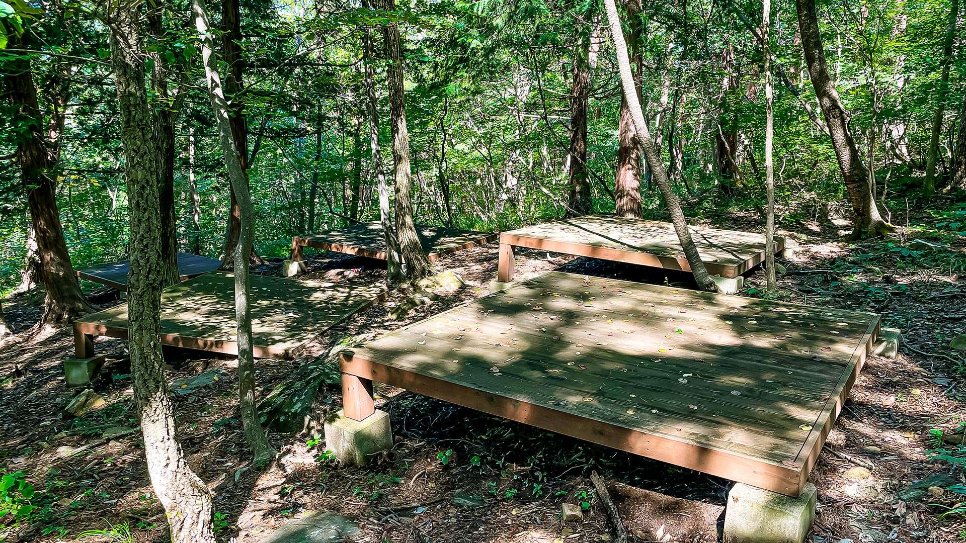 National Daegwallyeong Healing Forest