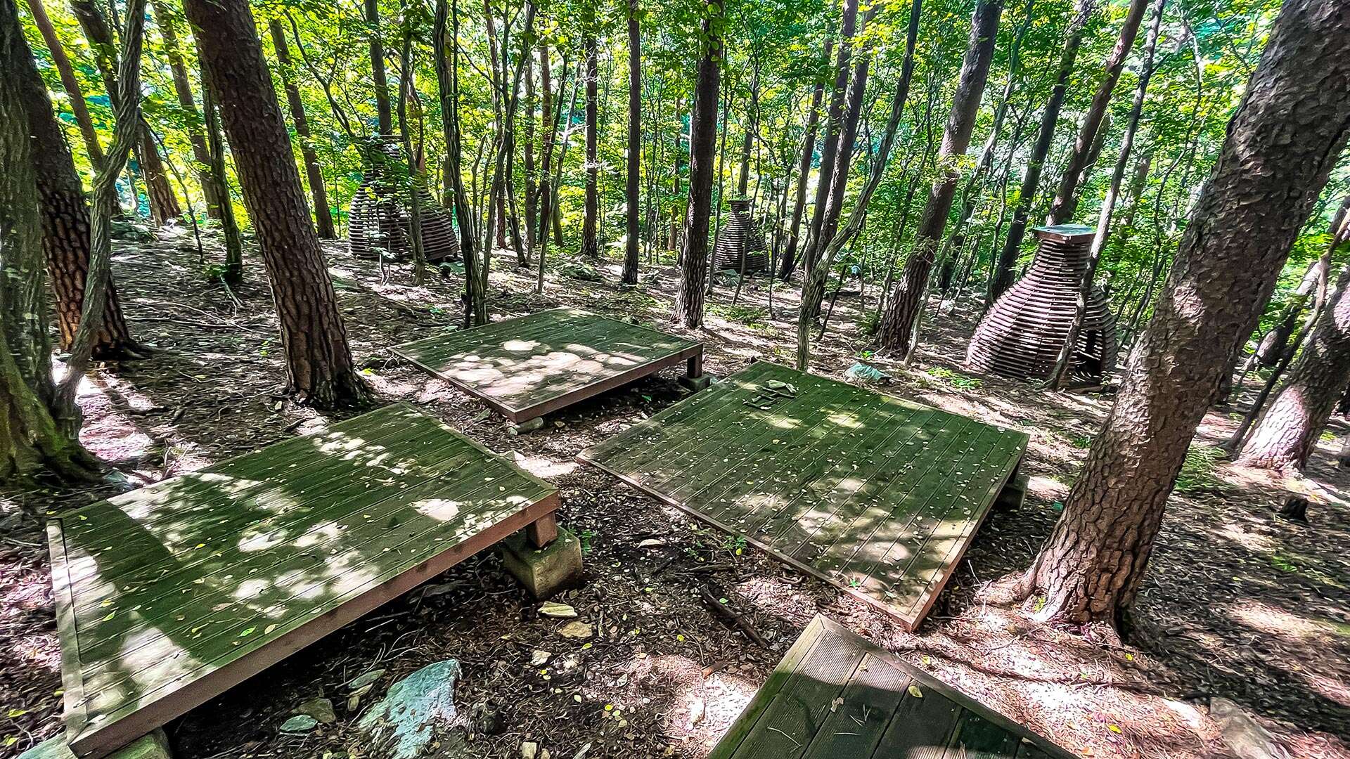 National Daegwallyeong Healing Forest