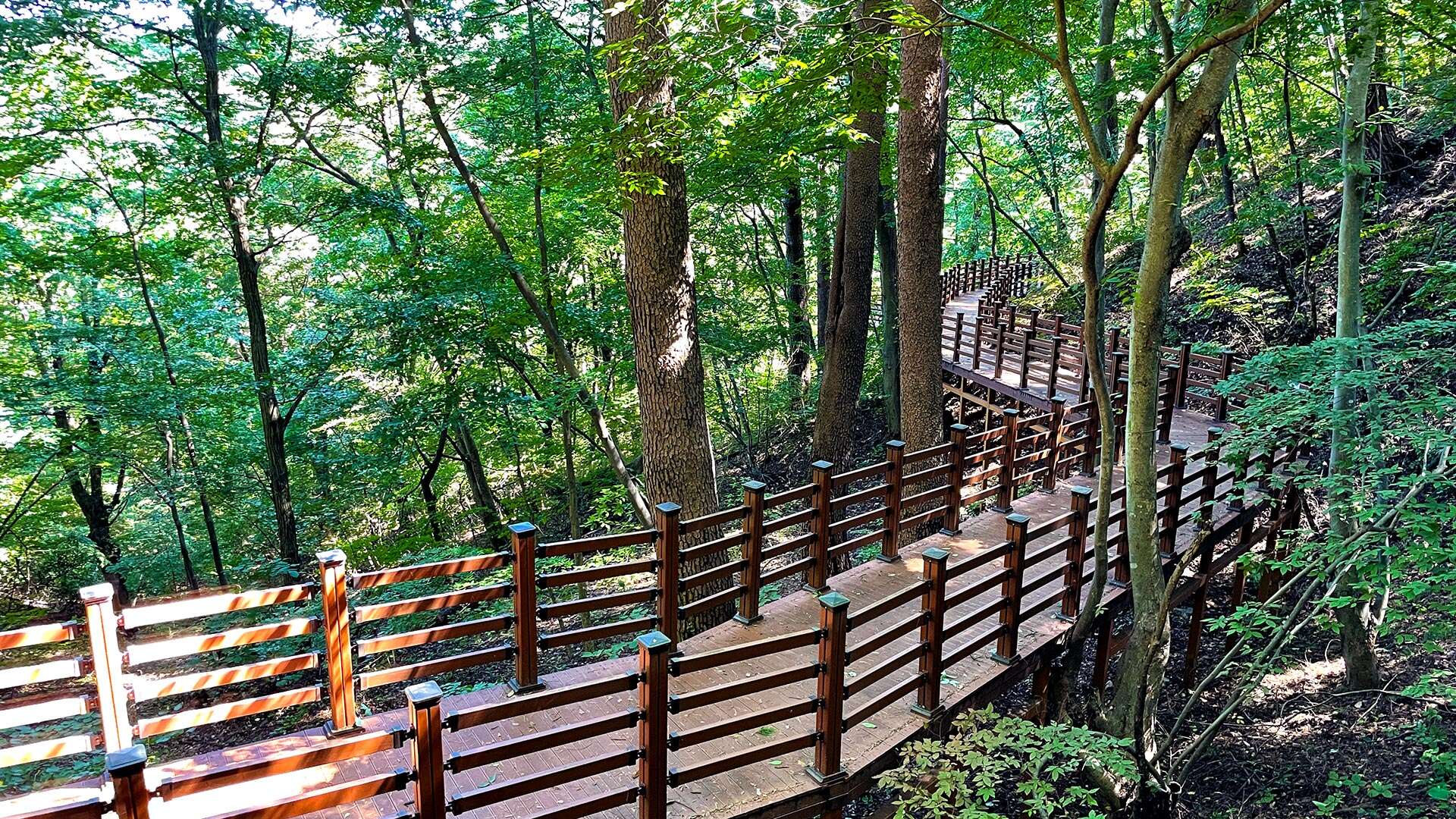 National Daegwallyeong Healing Forest