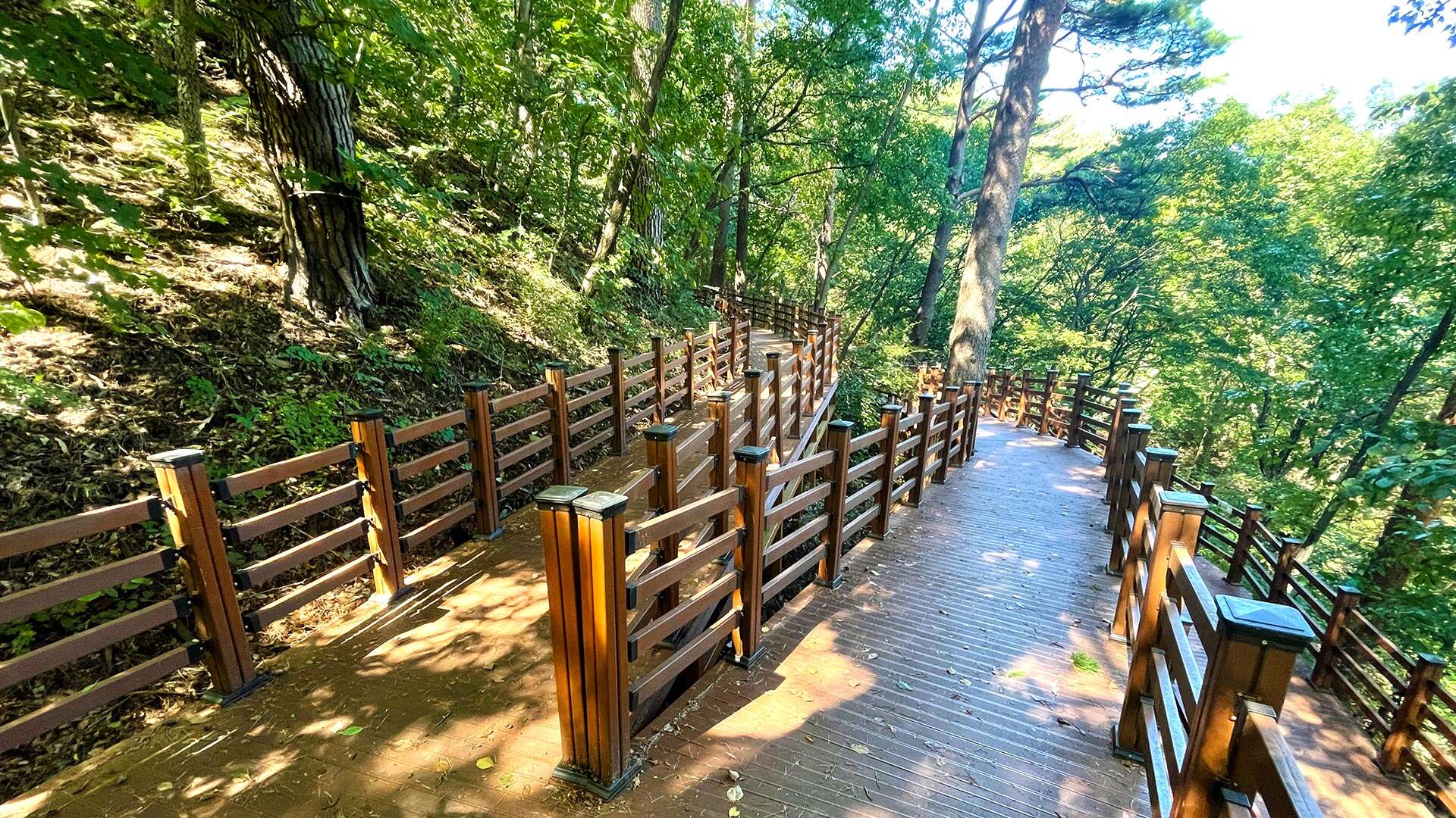 National Daegwallyeong Healing Forest