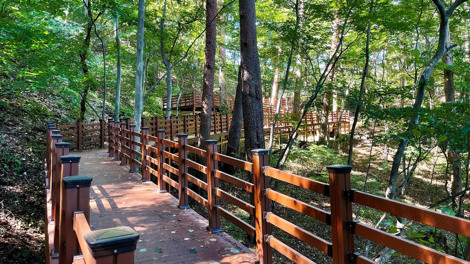 National Daegwallyeong Healing Forest