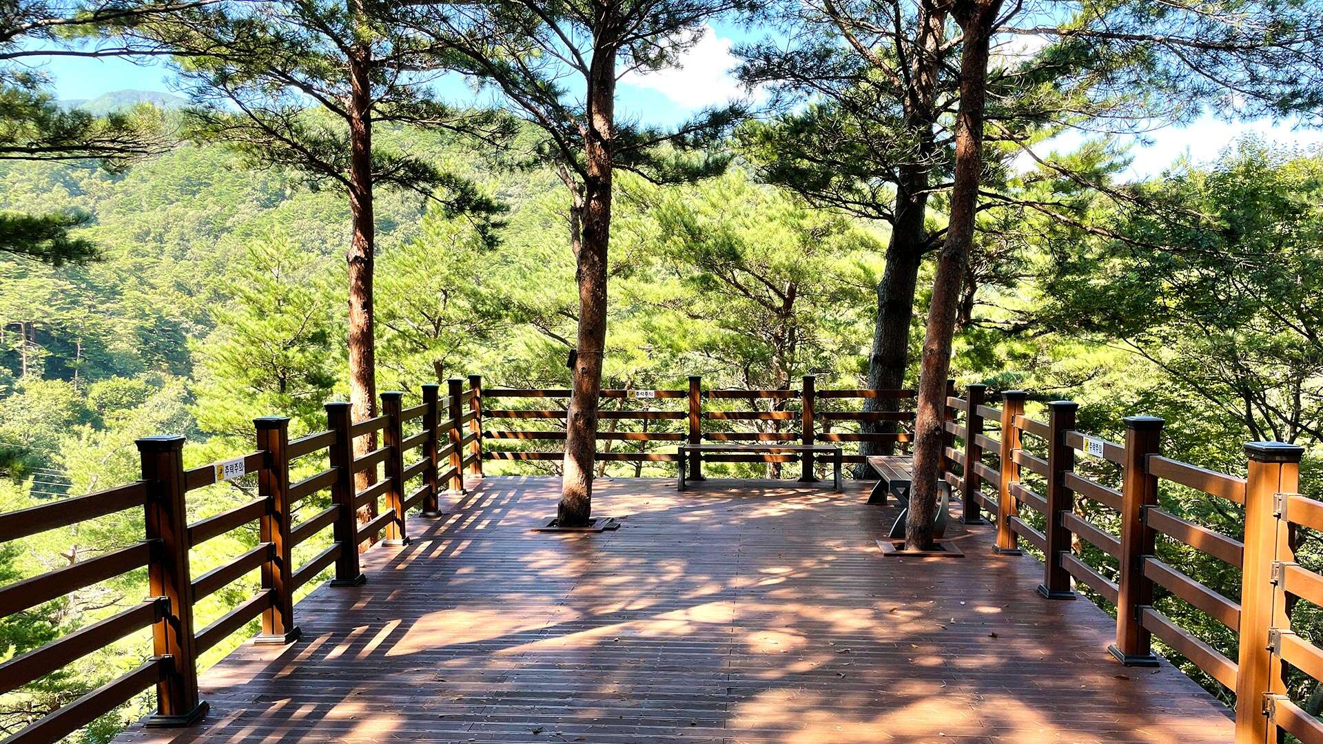 National Daegwallyeong Healing Forest