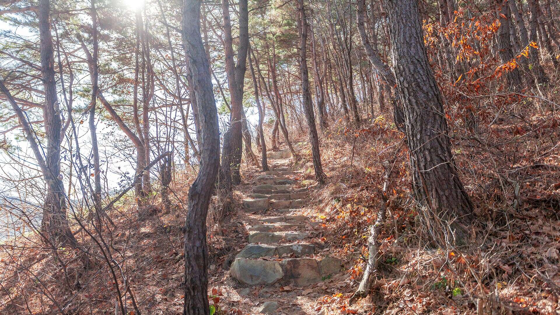 안보등산로