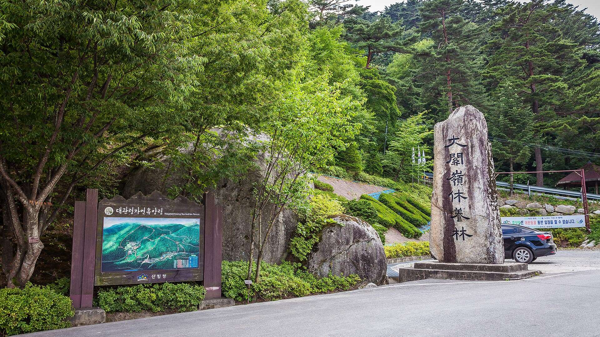 Daegwallyeong Natural Recreation Forest