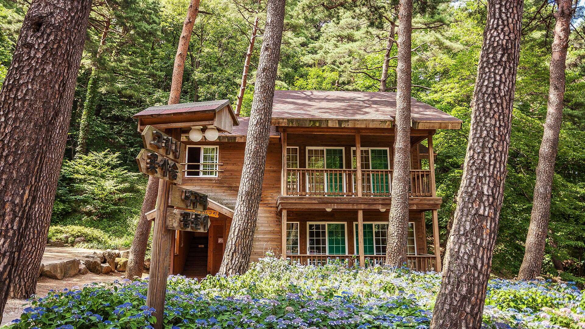 Daegwallyeong Natural Recreation Forest