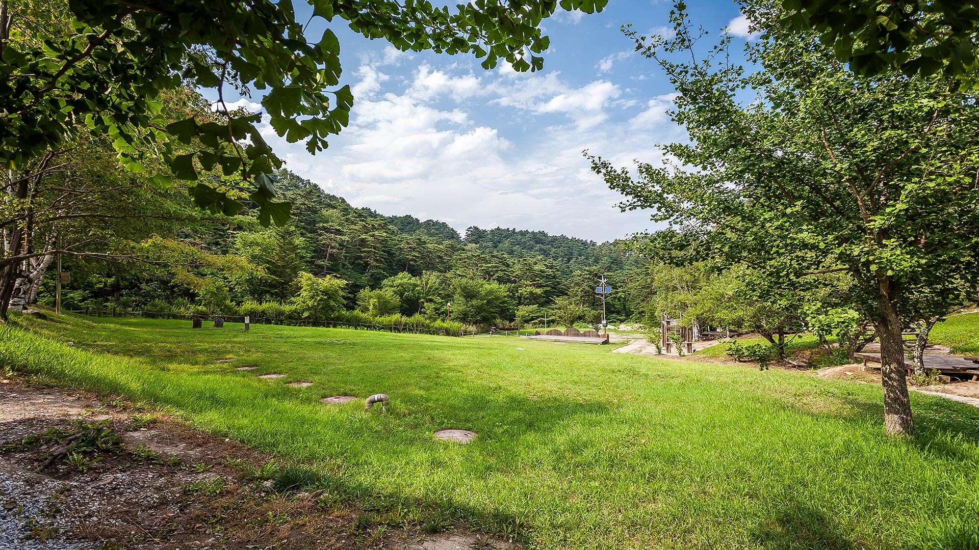 Daegwallyeong Natural Recreation Forest