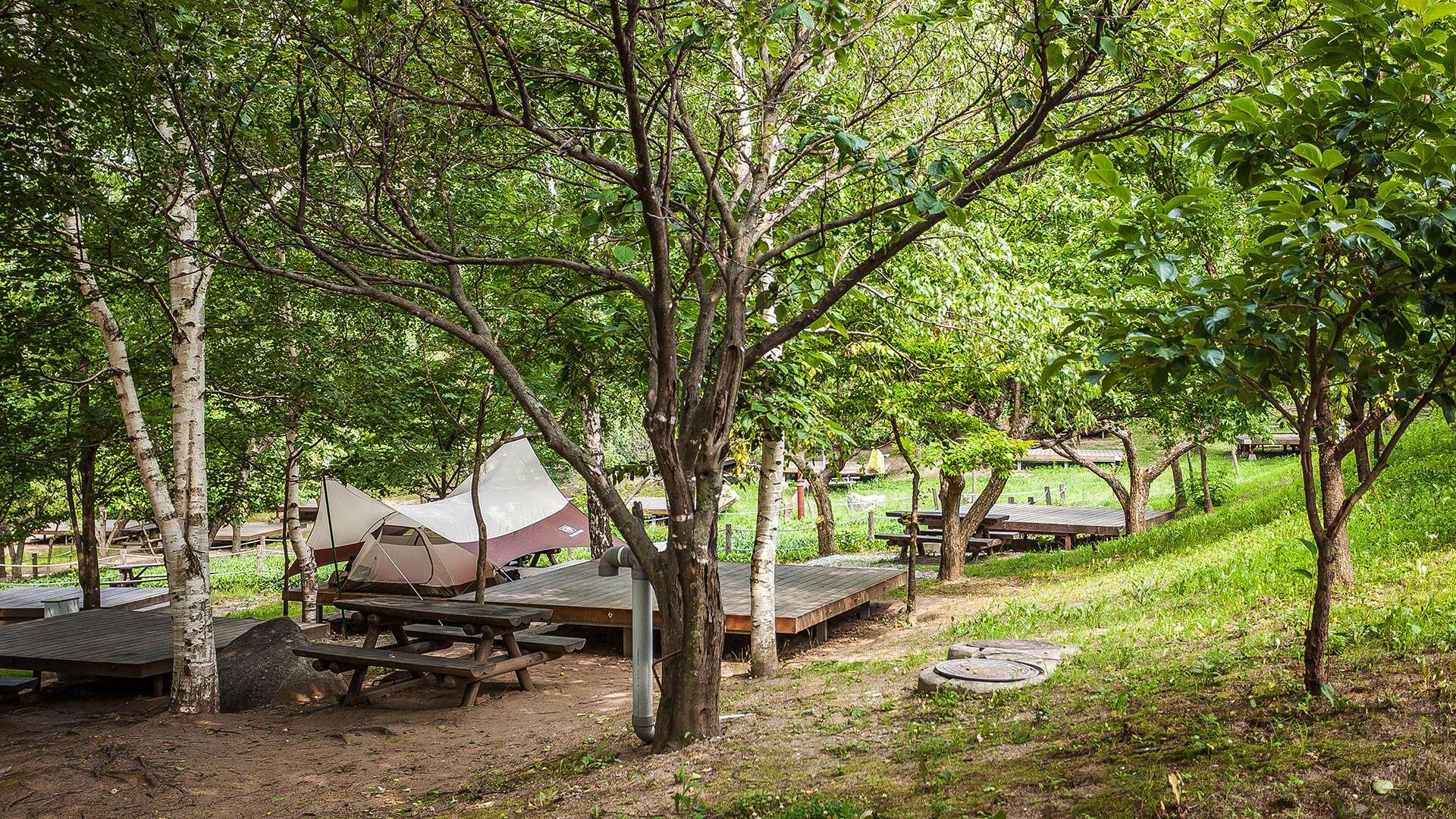 Daegwallyeong Natural Recreation Forest