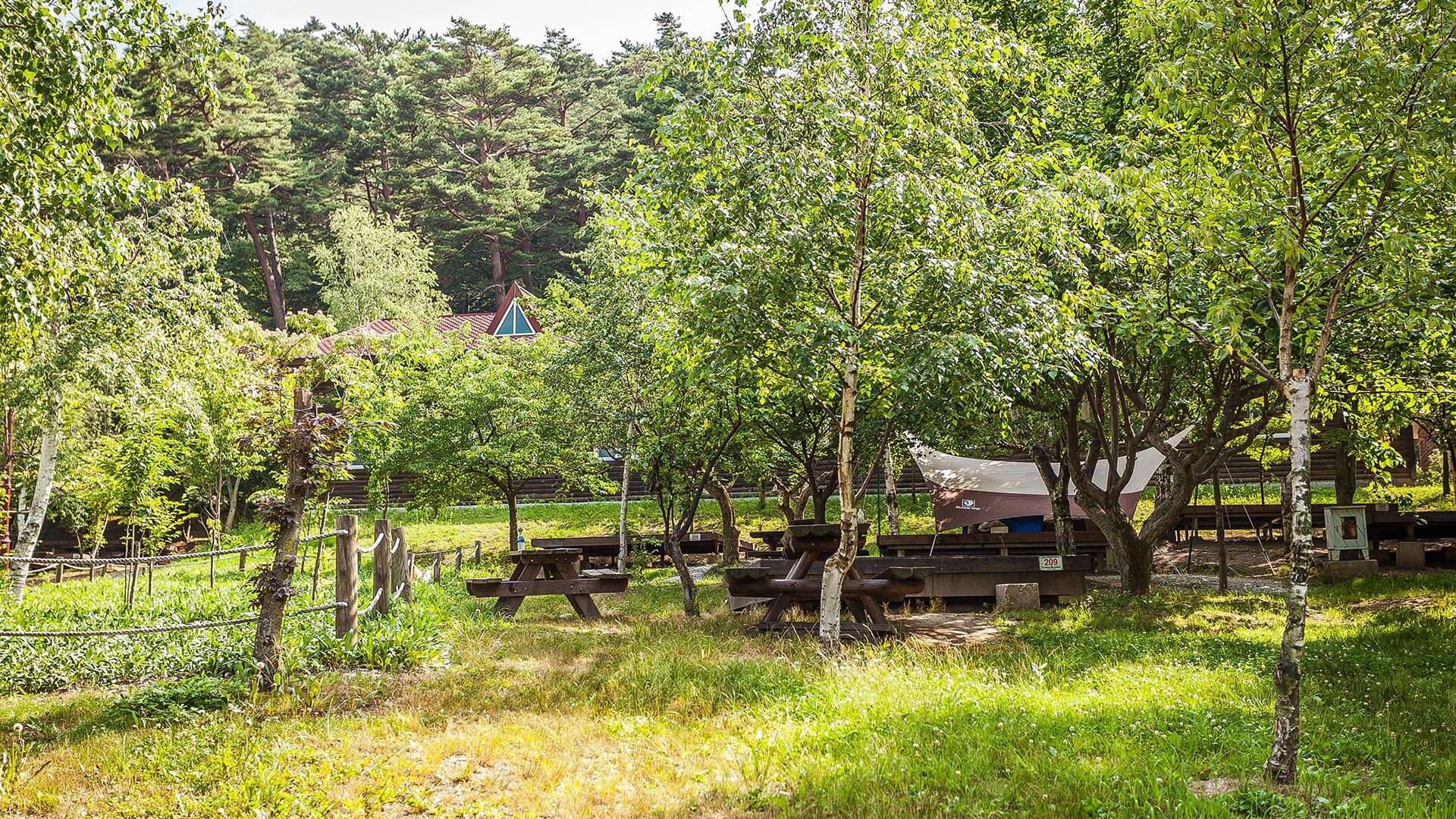 Daegwallyeong Natural Recreation Forest