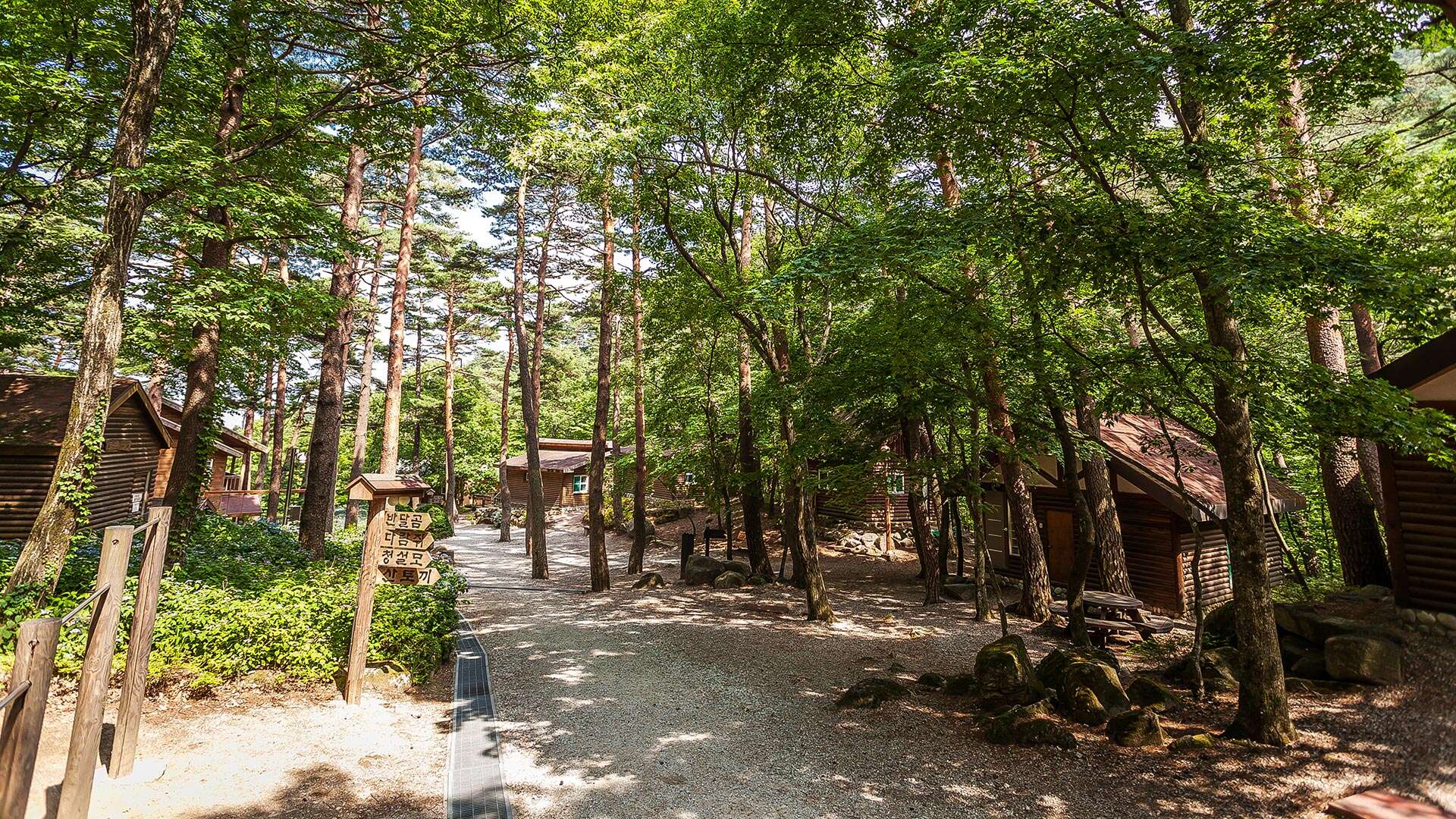 Daegwallyeong Natural Recreation Forest