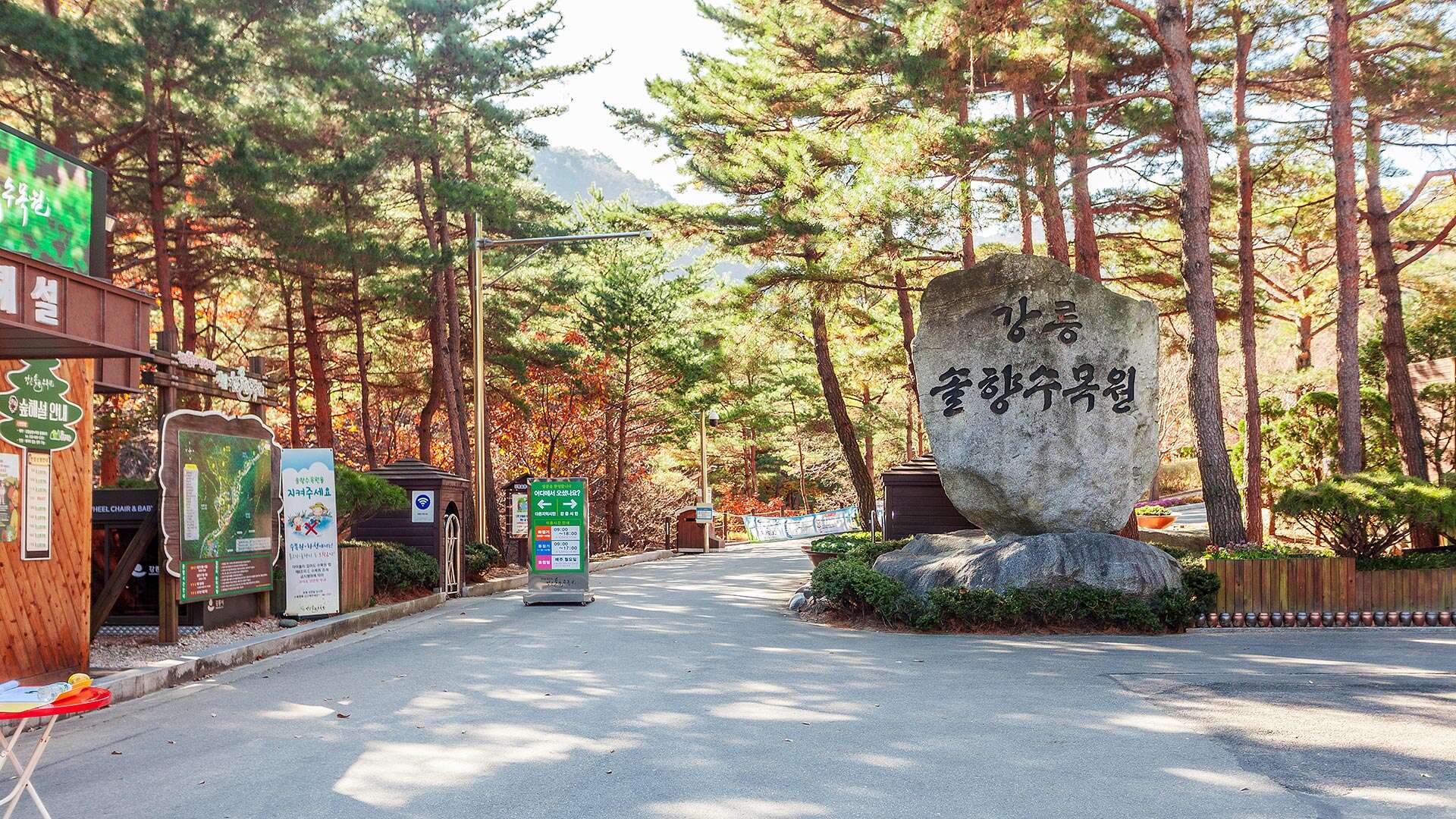 Gangneung Solhyang Arboretum
