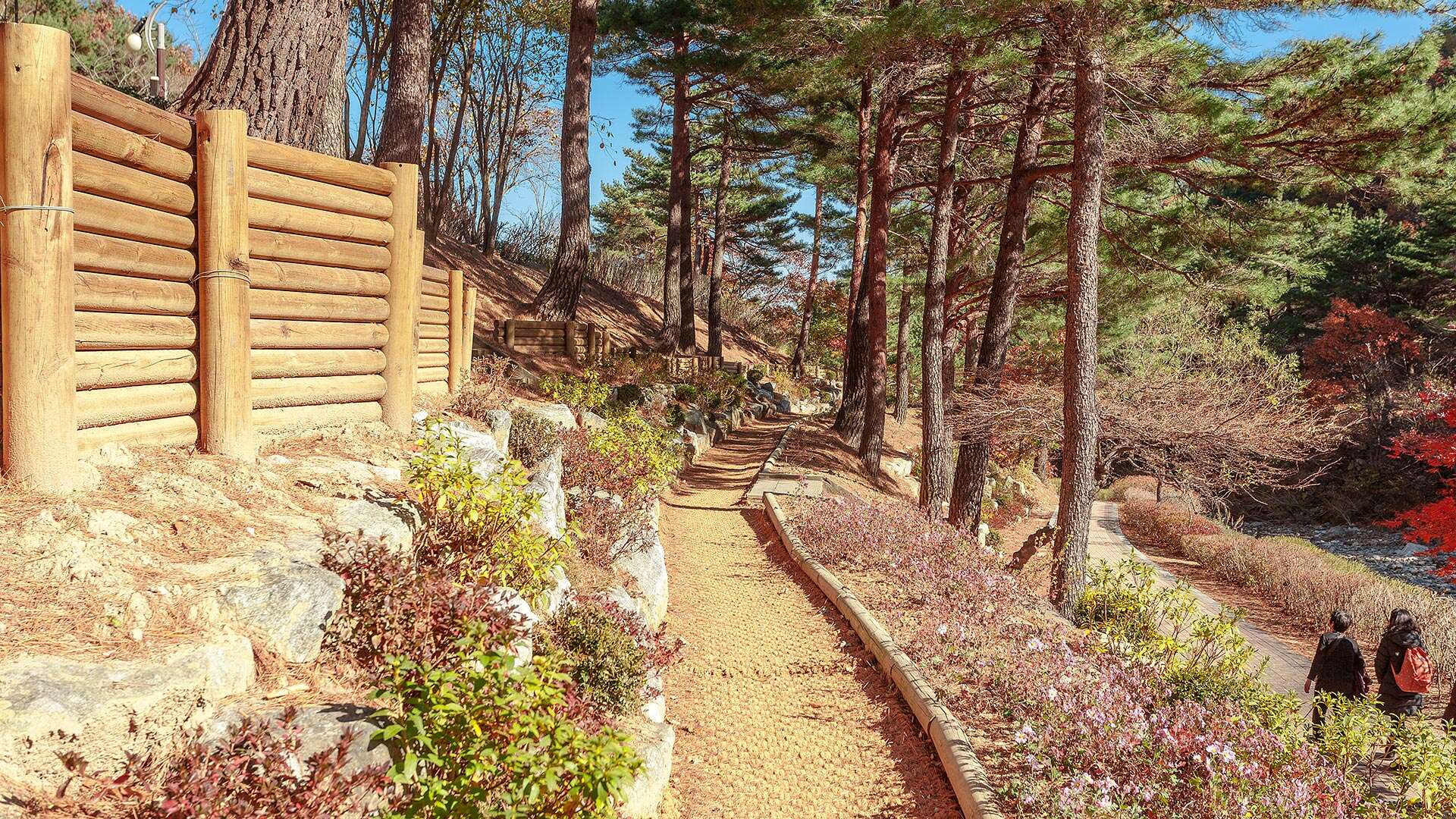 Gangneung Solhyang Arboretum