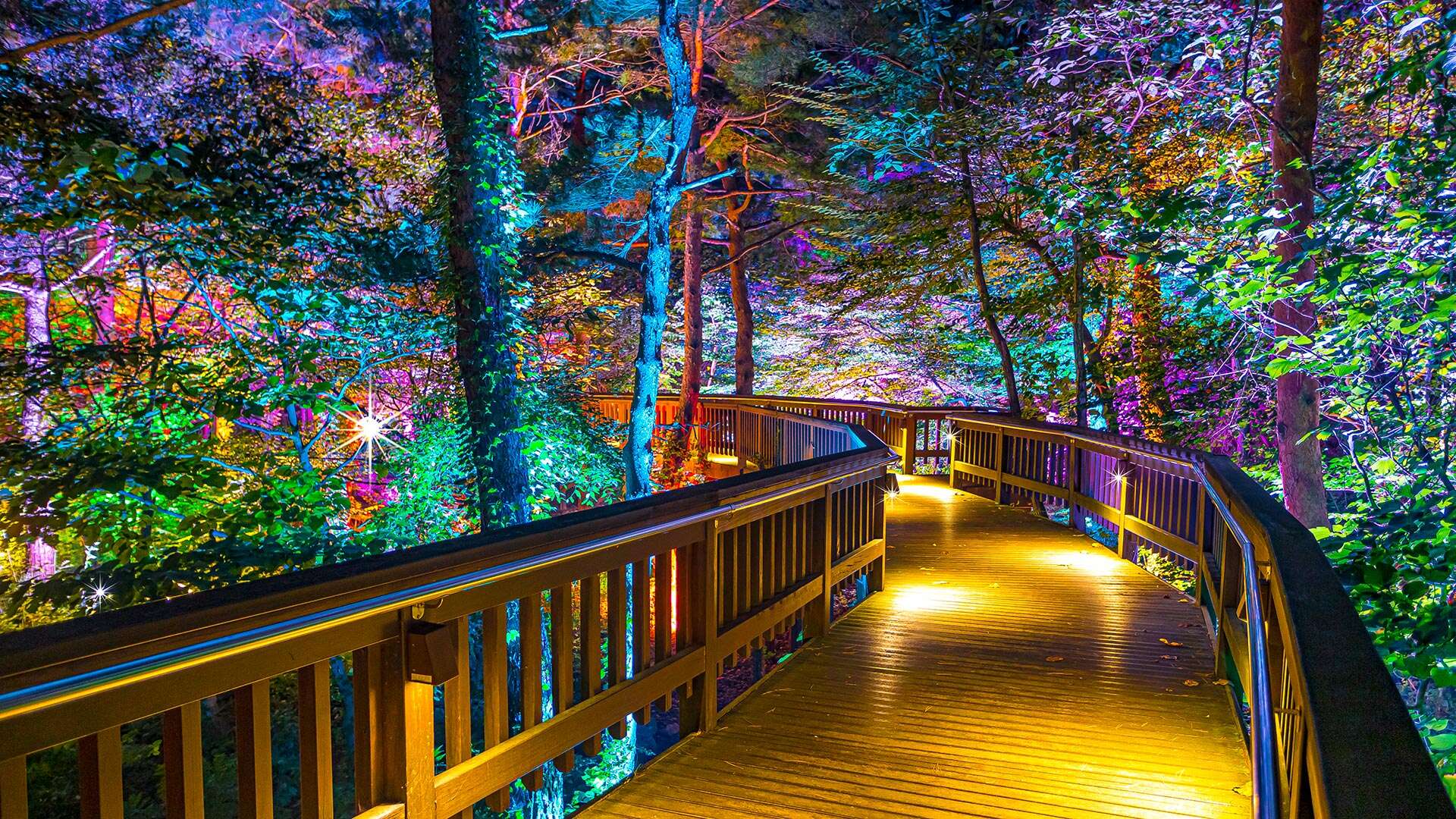 Gangneung Solhyang Arboretum