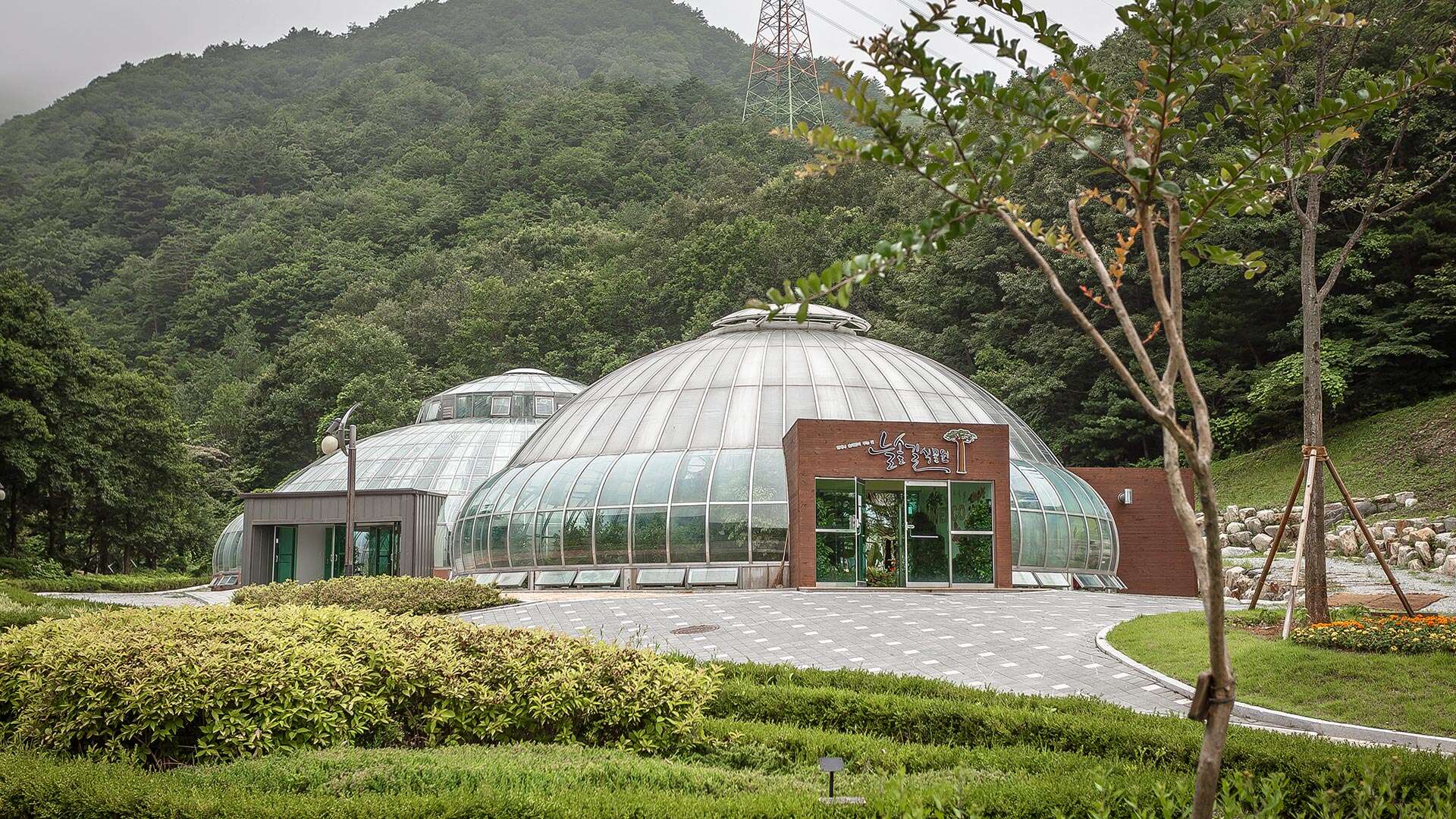 Gangneung Solhyang Arboretum