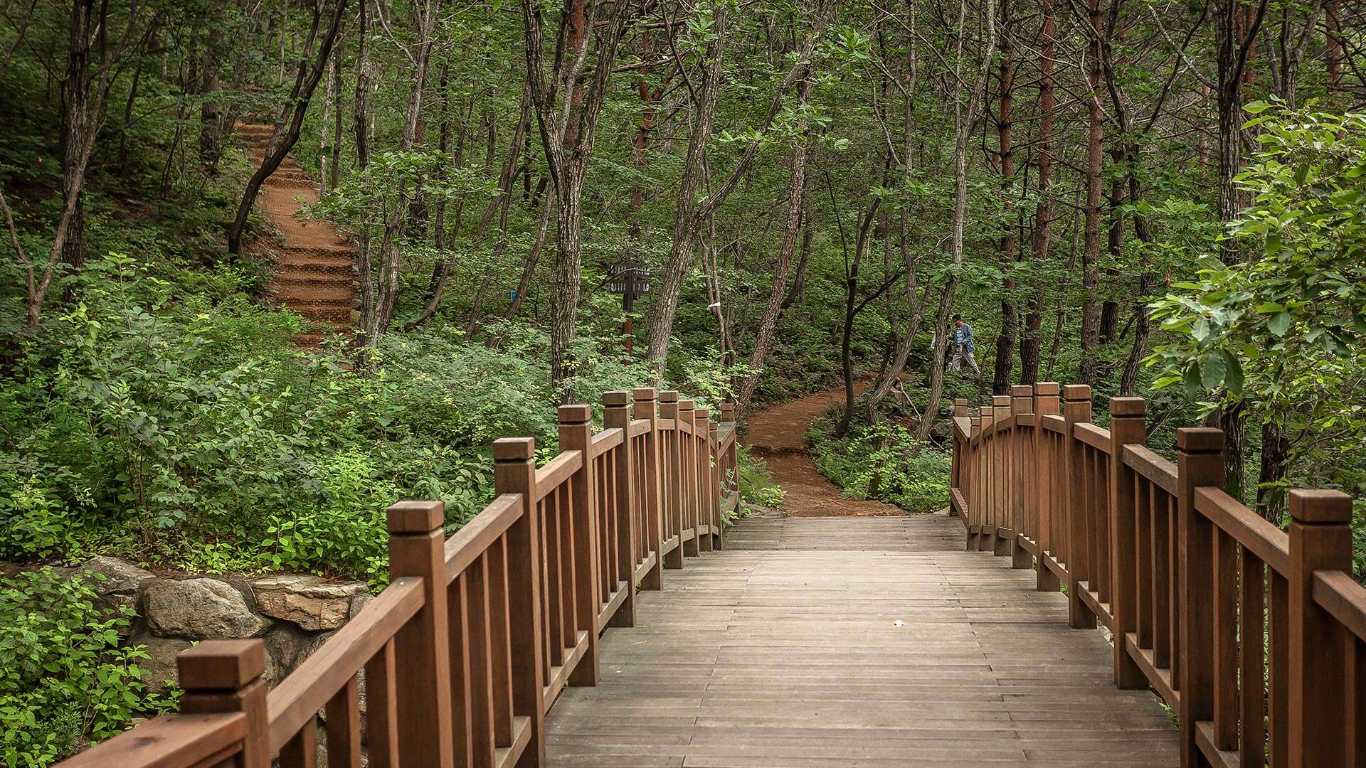 Gangneung Solhyang Arboretum