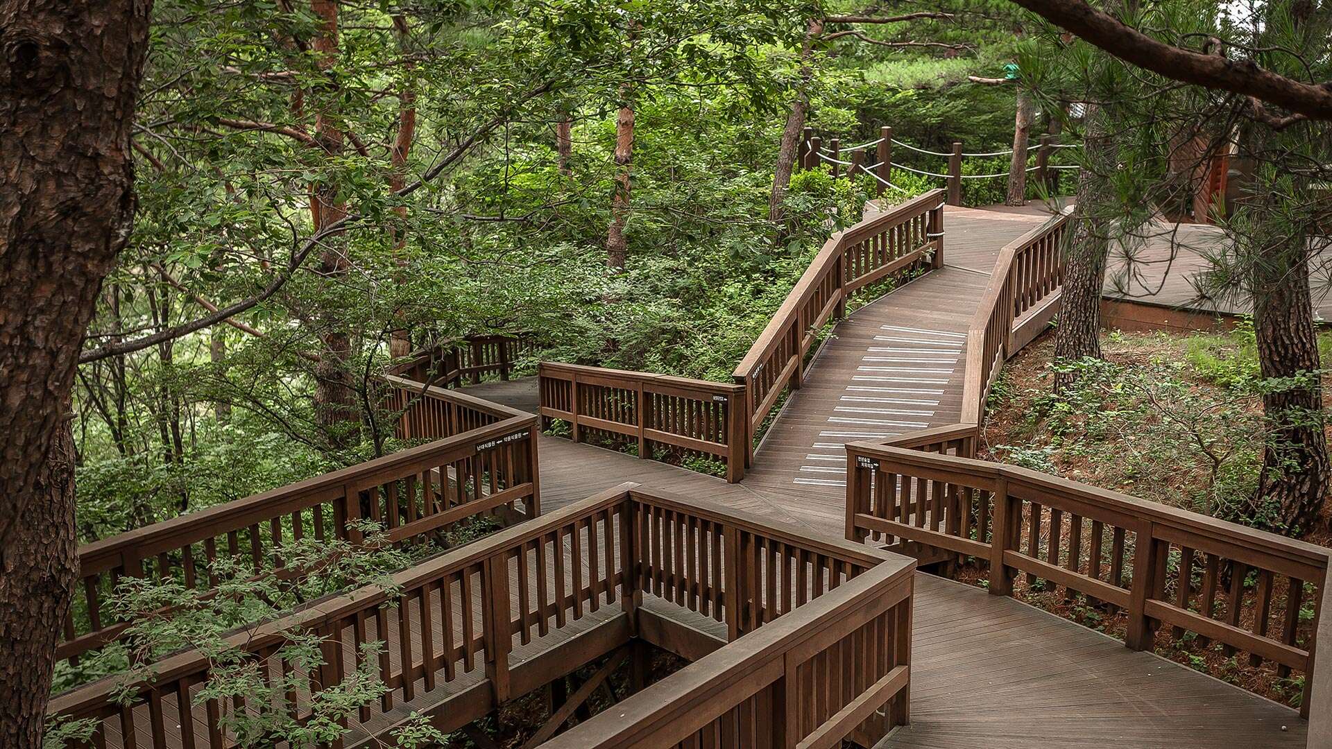 Gangneung Solhyang Arboretum