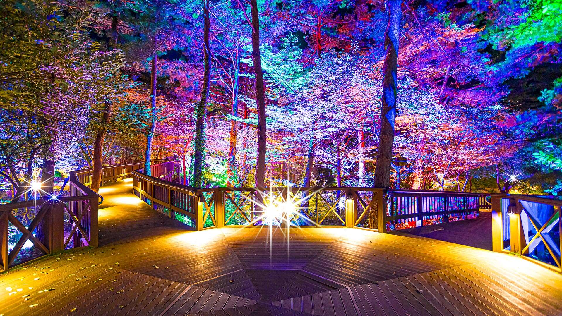 Gangneung Solhyang Arboretum