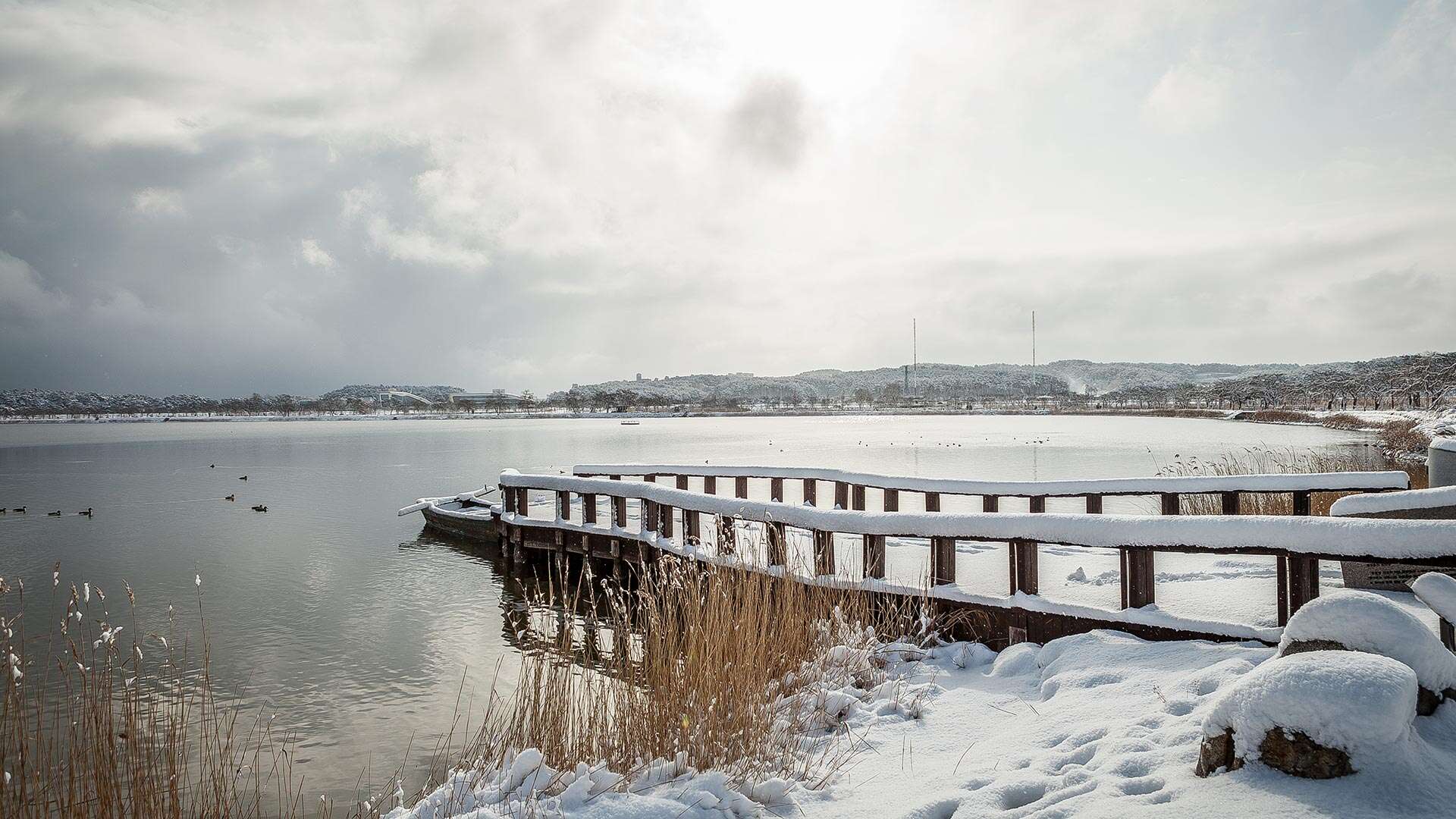 Gyeongpo Lake