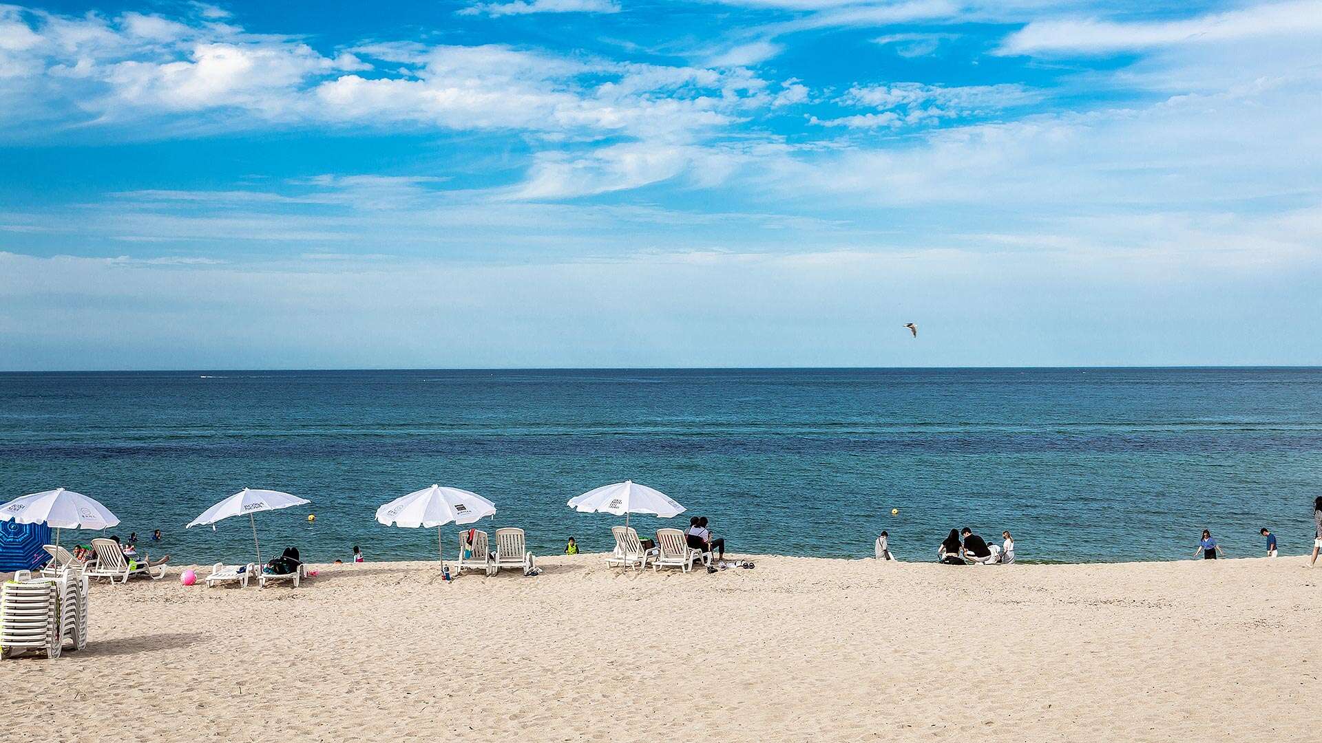 安木コーヒー通り