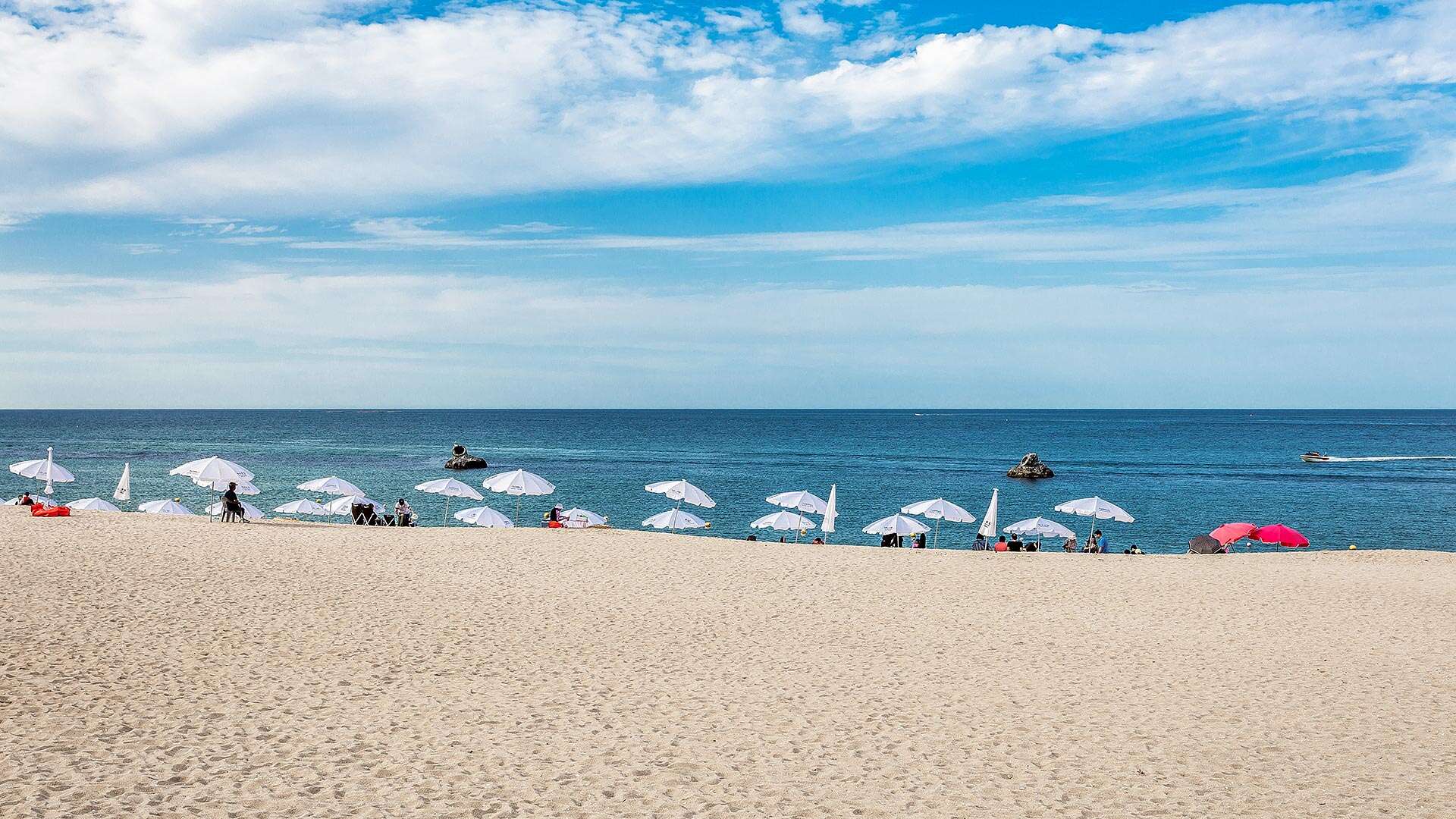 安木コーヒー通り