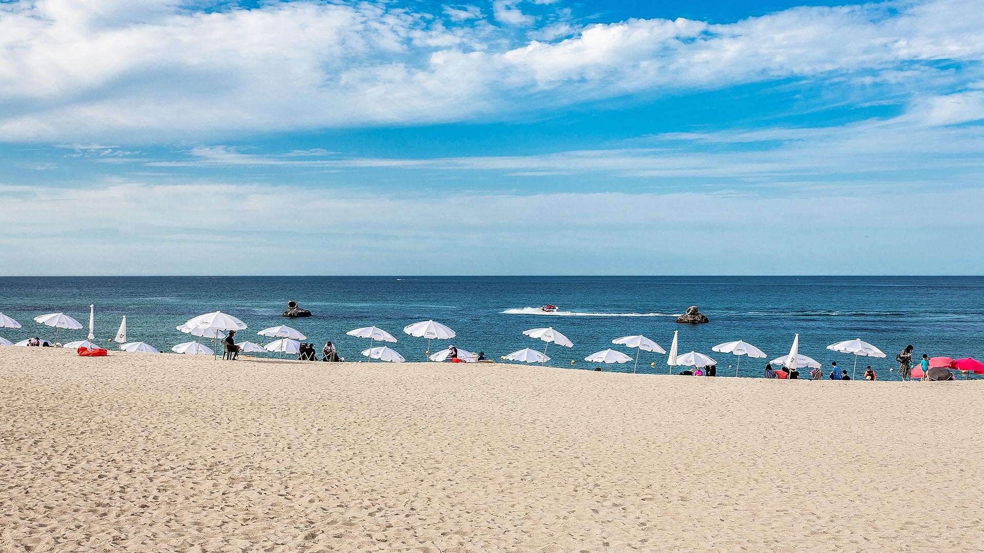 安木コーヒー通り