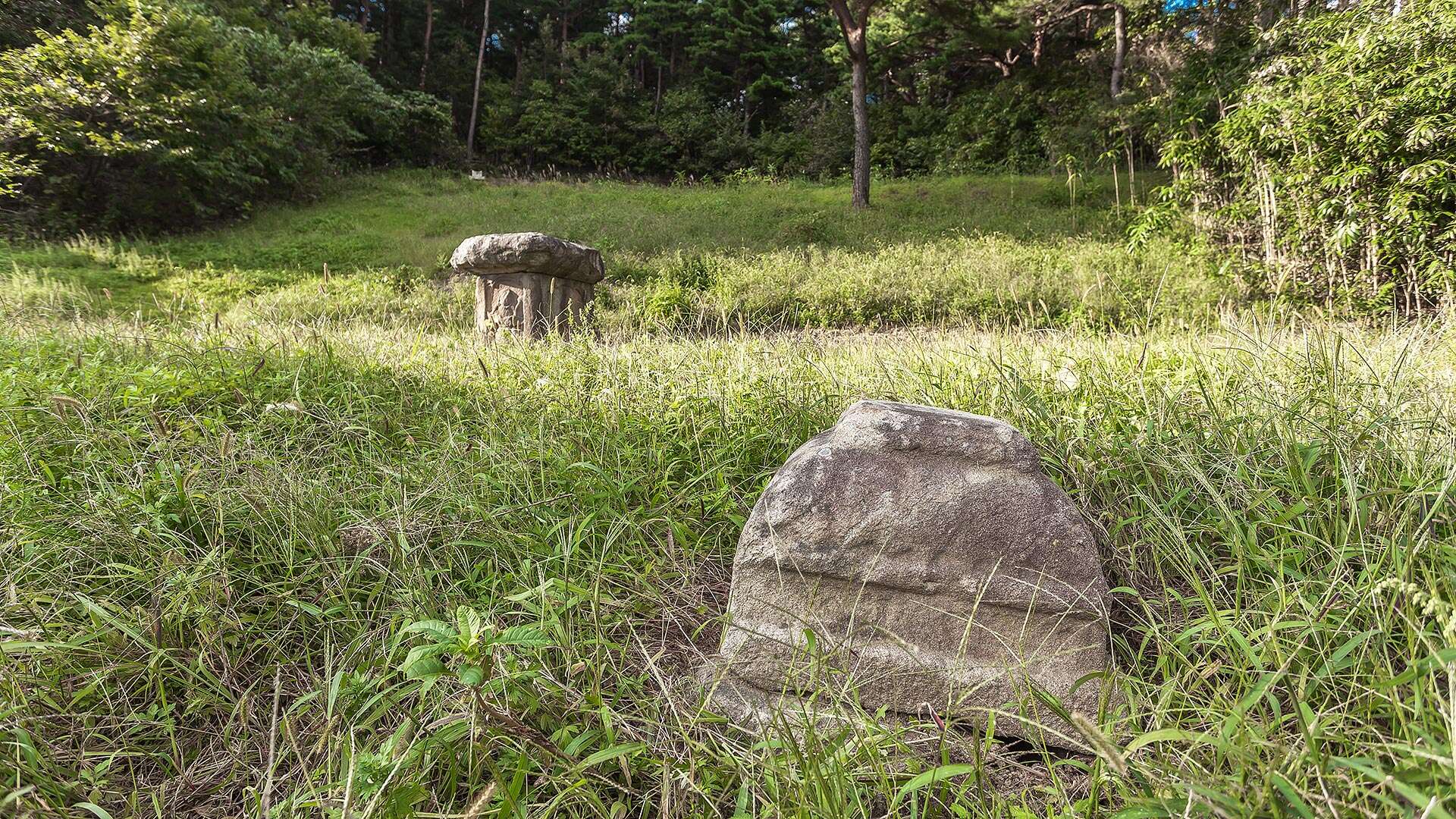 觀音里五層石塔 (Gwaneum-ri Five-story Stone Pagoda)