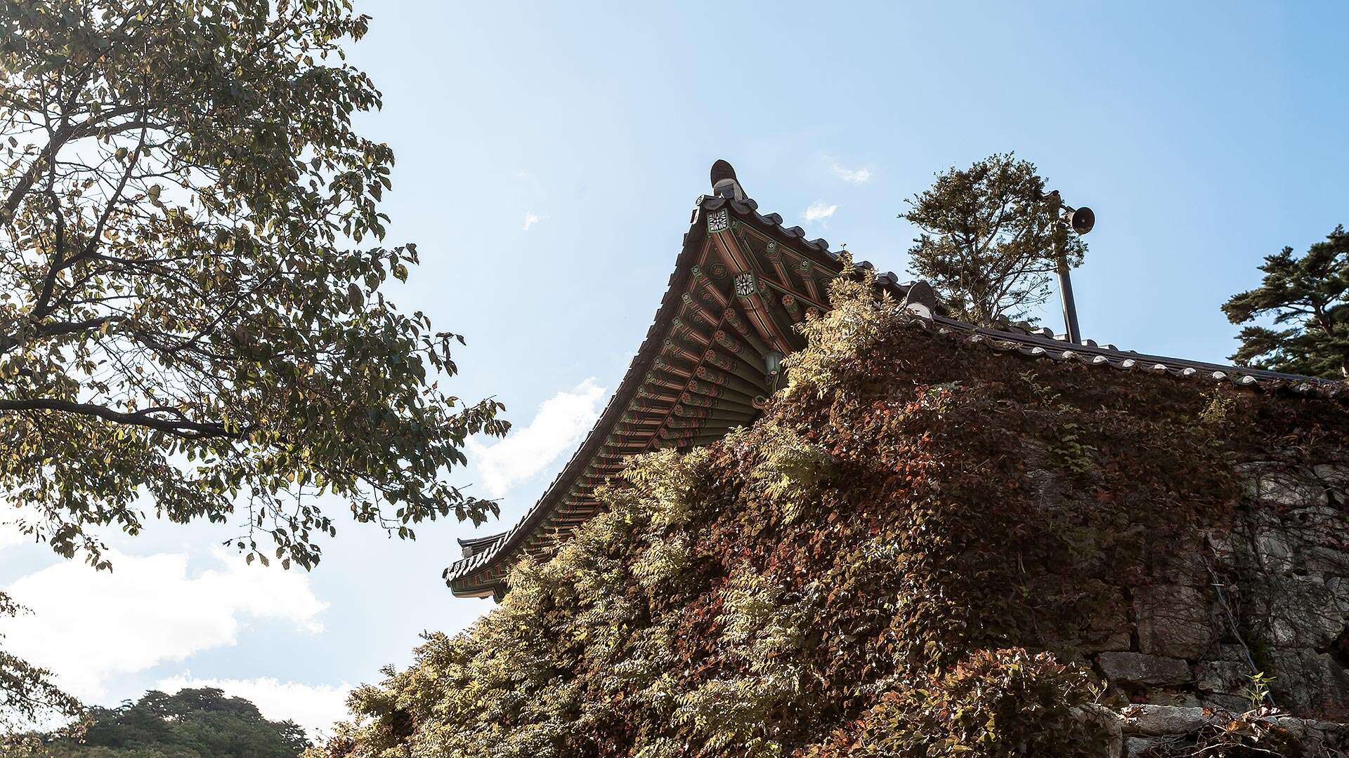 普賢寺