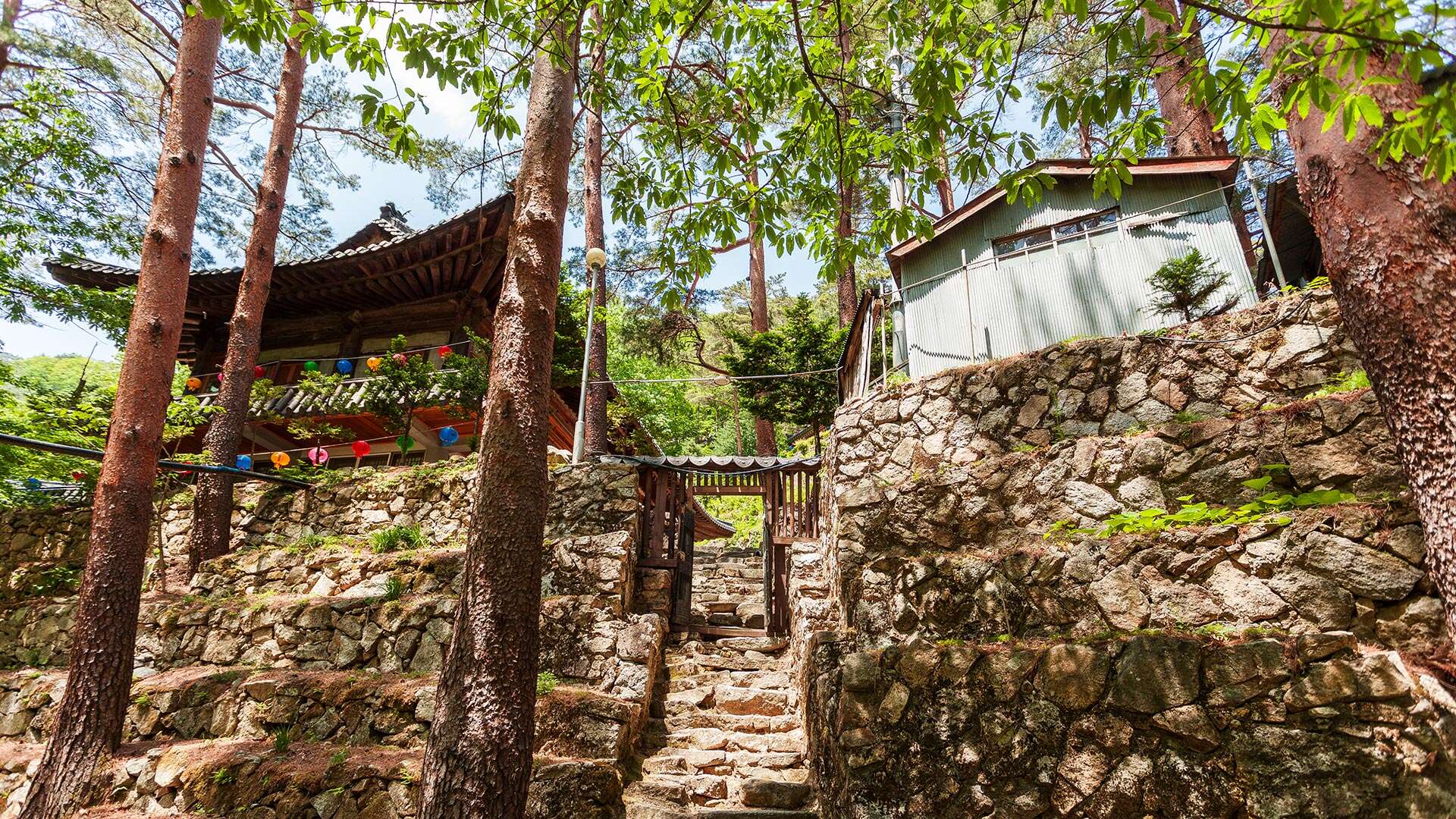 金剛寺