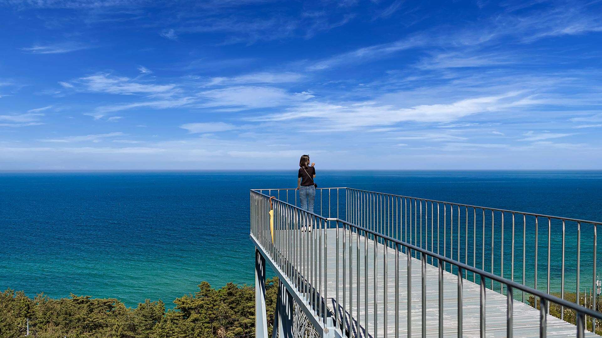 ハスラアートワールド・ピノキオ美術館